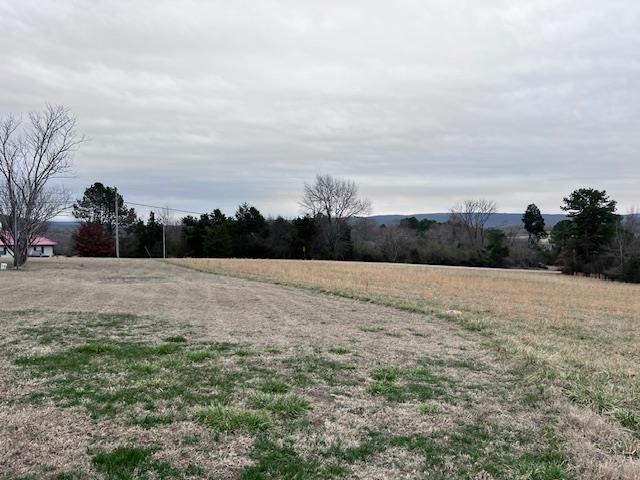 590  Oak Grove  Timbo, AR