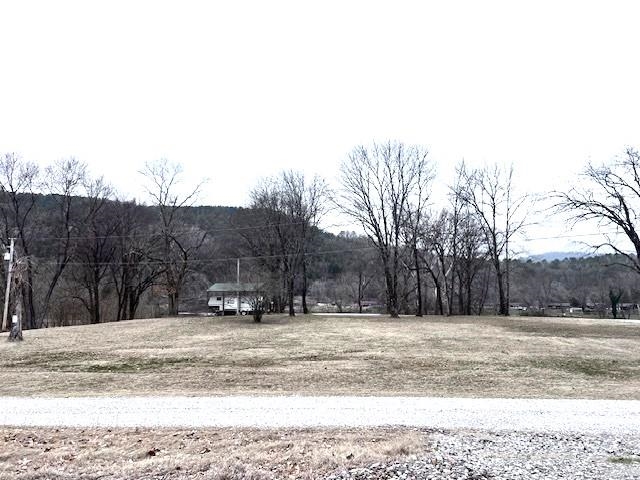 Tract 2 & 3  N Riverview  Mountain View, AR