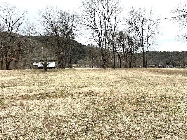 Tract 2 & 3  N Riverview  Mountain View, AR
