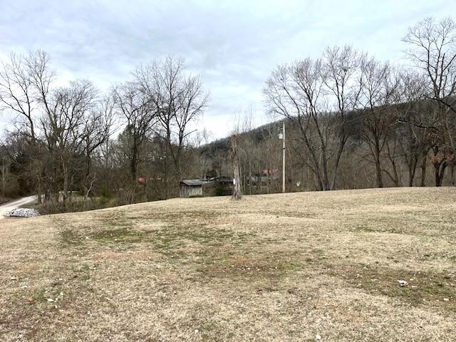 Tract 2 & 3  N Riverview  Mountain View, AR