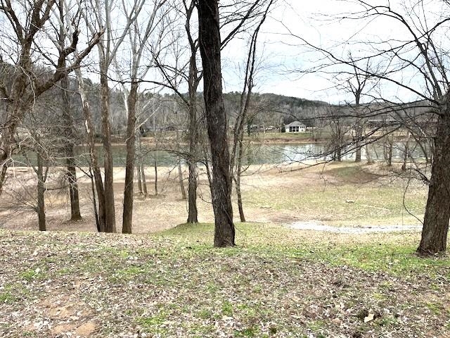 Tract 2 & 3  N Riverview  Mountain View, AR