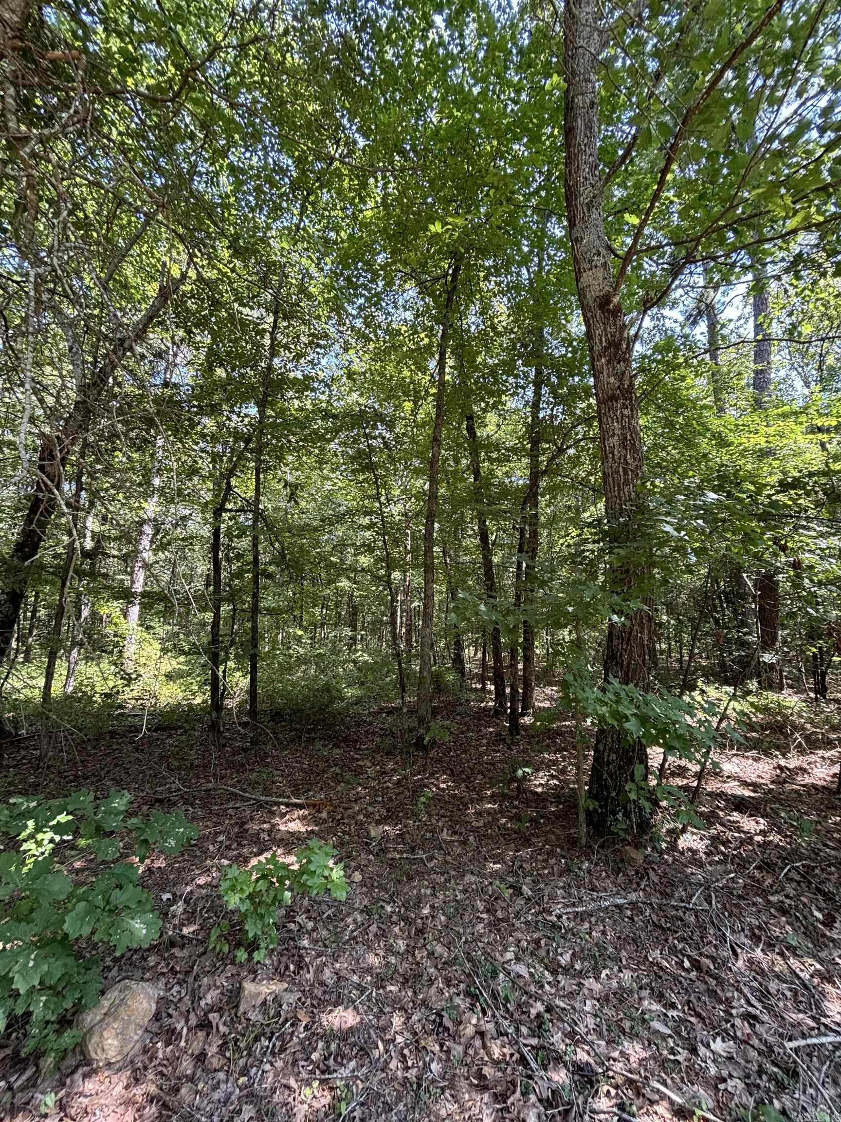 Lot 25  Wood  Clinton, AR
