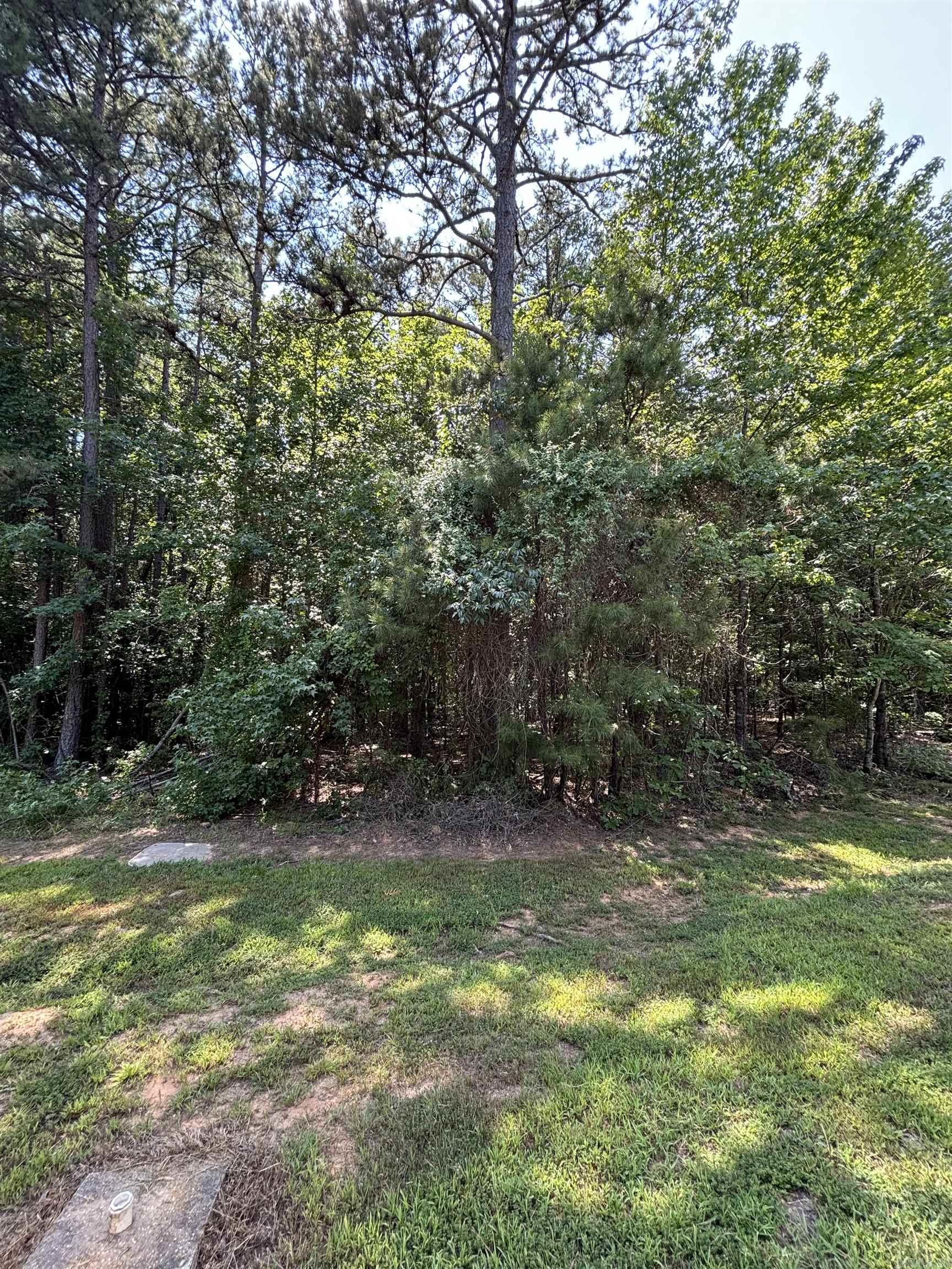 LOT 29  Wood - Shields  Clinton, AR