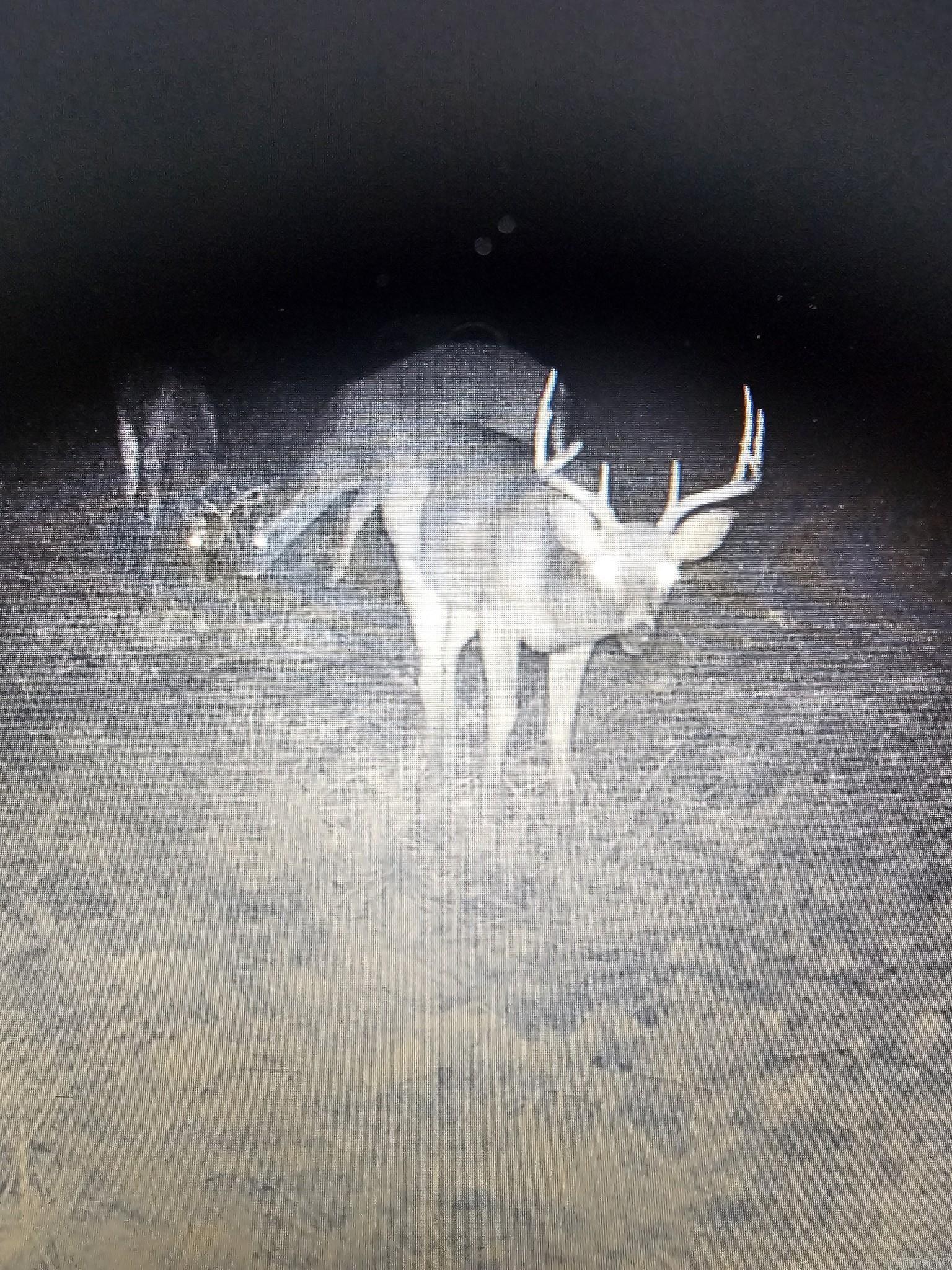  Hwy 43  Compton, AR