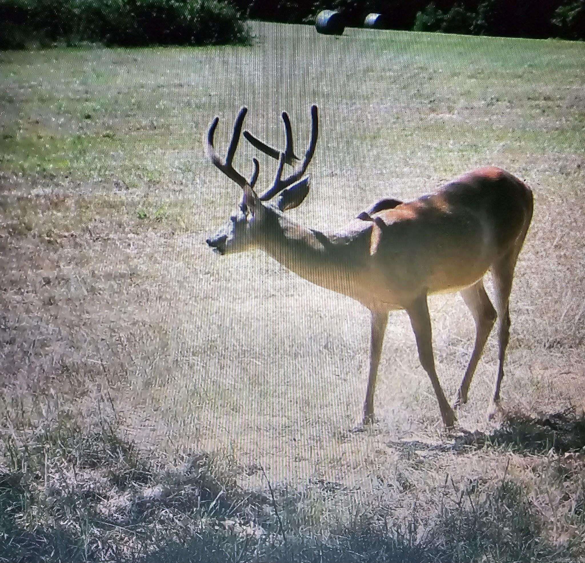   Hwy 43  Compton, AR