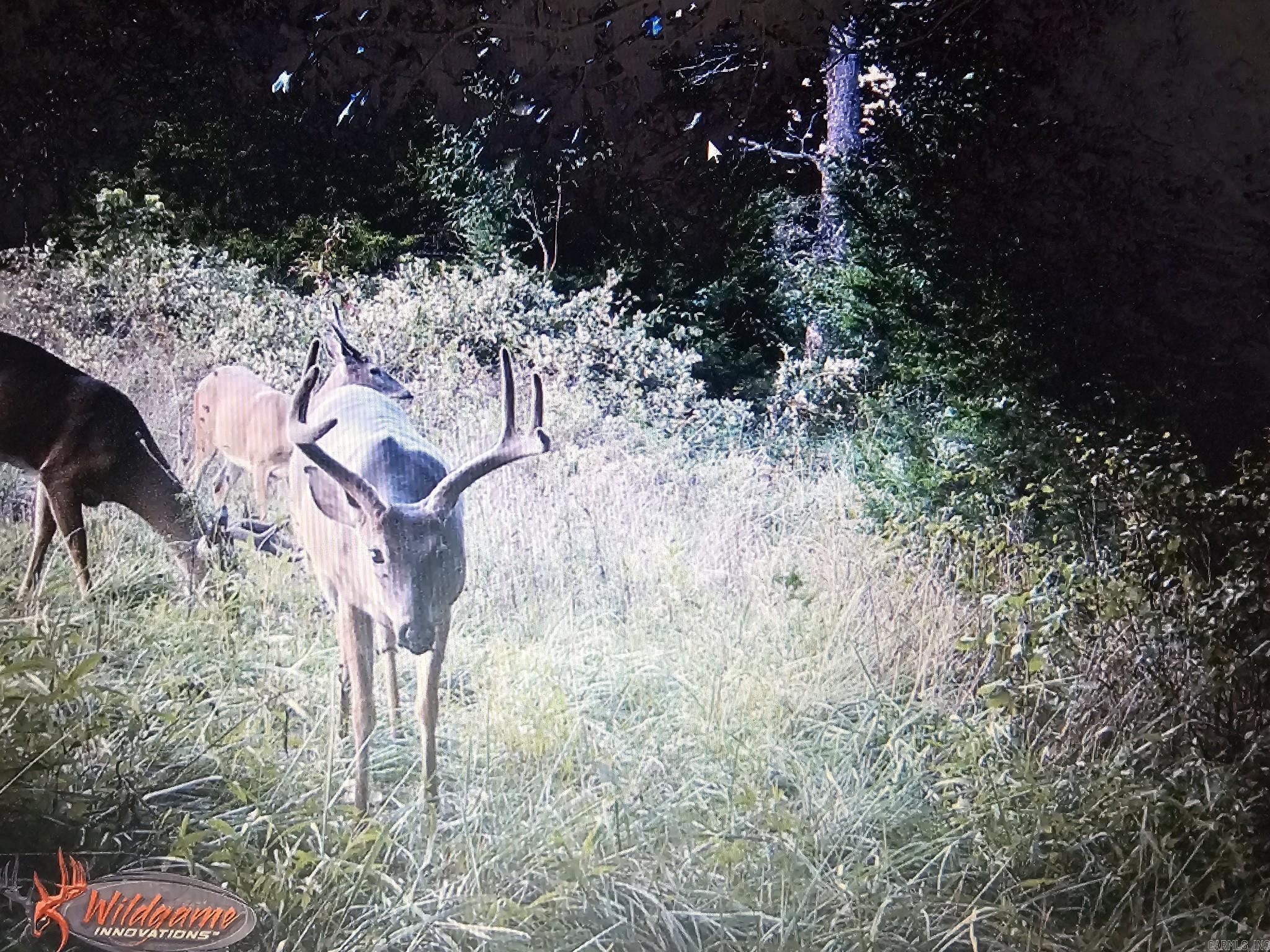   Hwy 43  Compton, AR