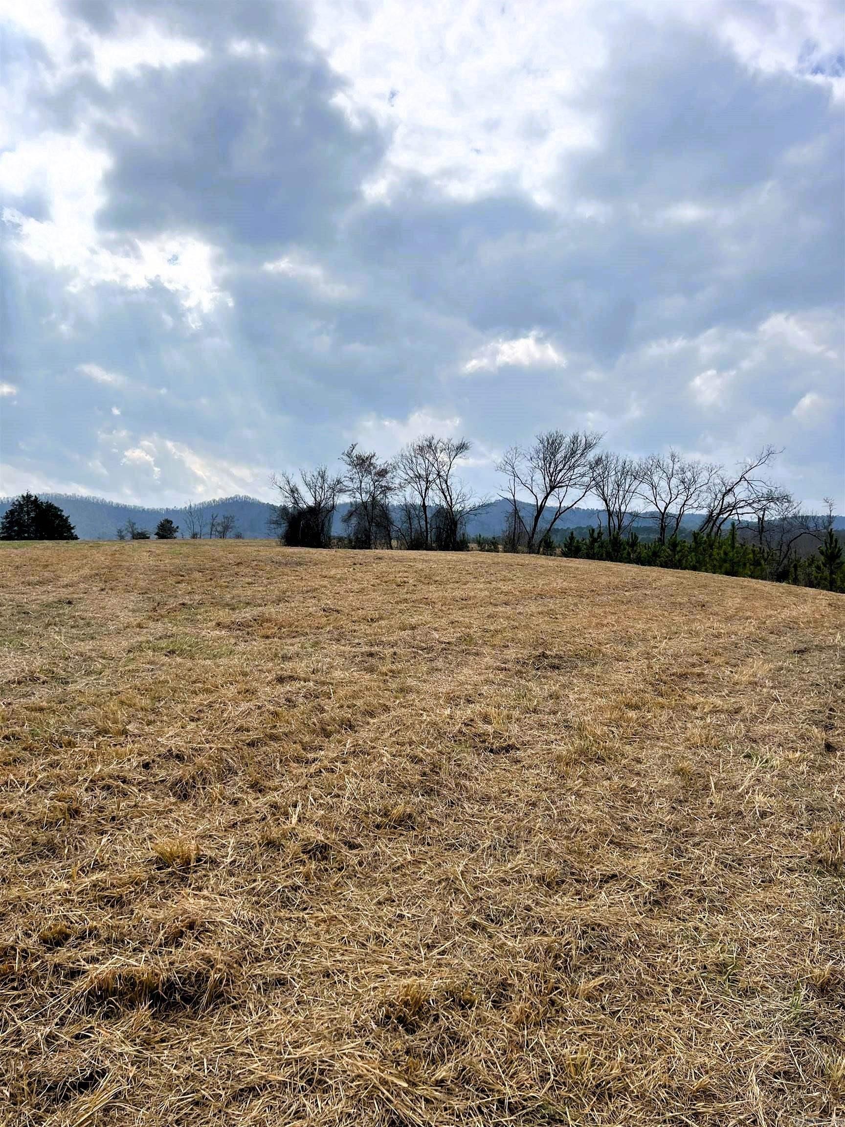 tract 10  Polk Road 684  Mena, AR