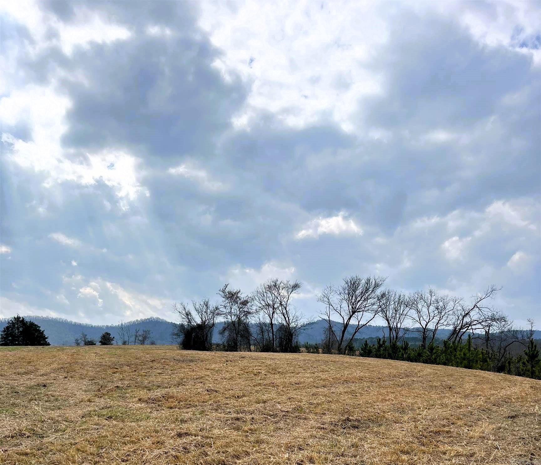 tract 10  Polk Road 684  Mena, AR