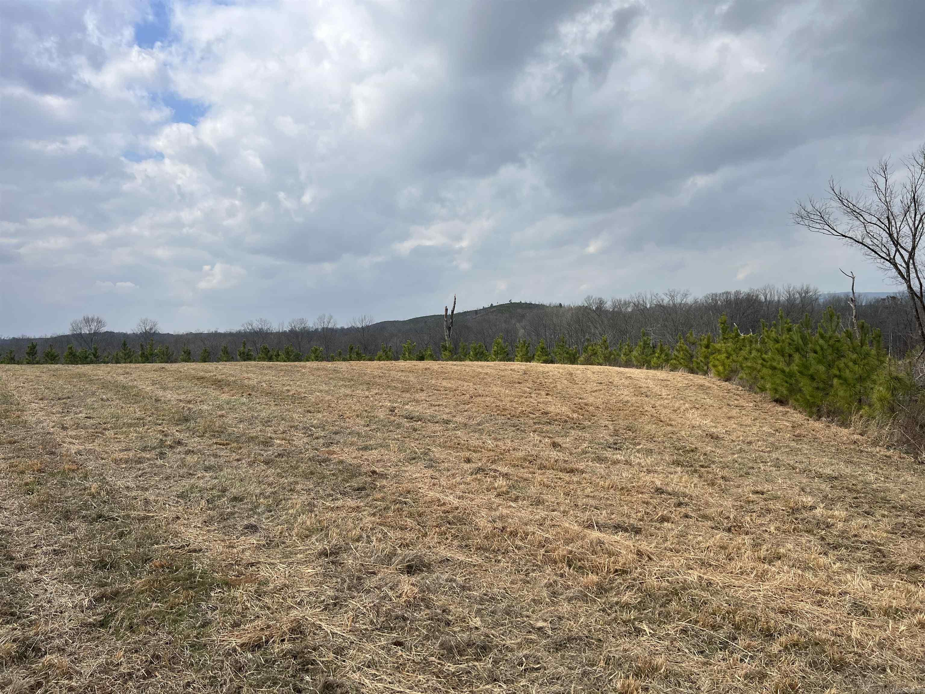 tract 10  Polk Road 684  Mena, AR