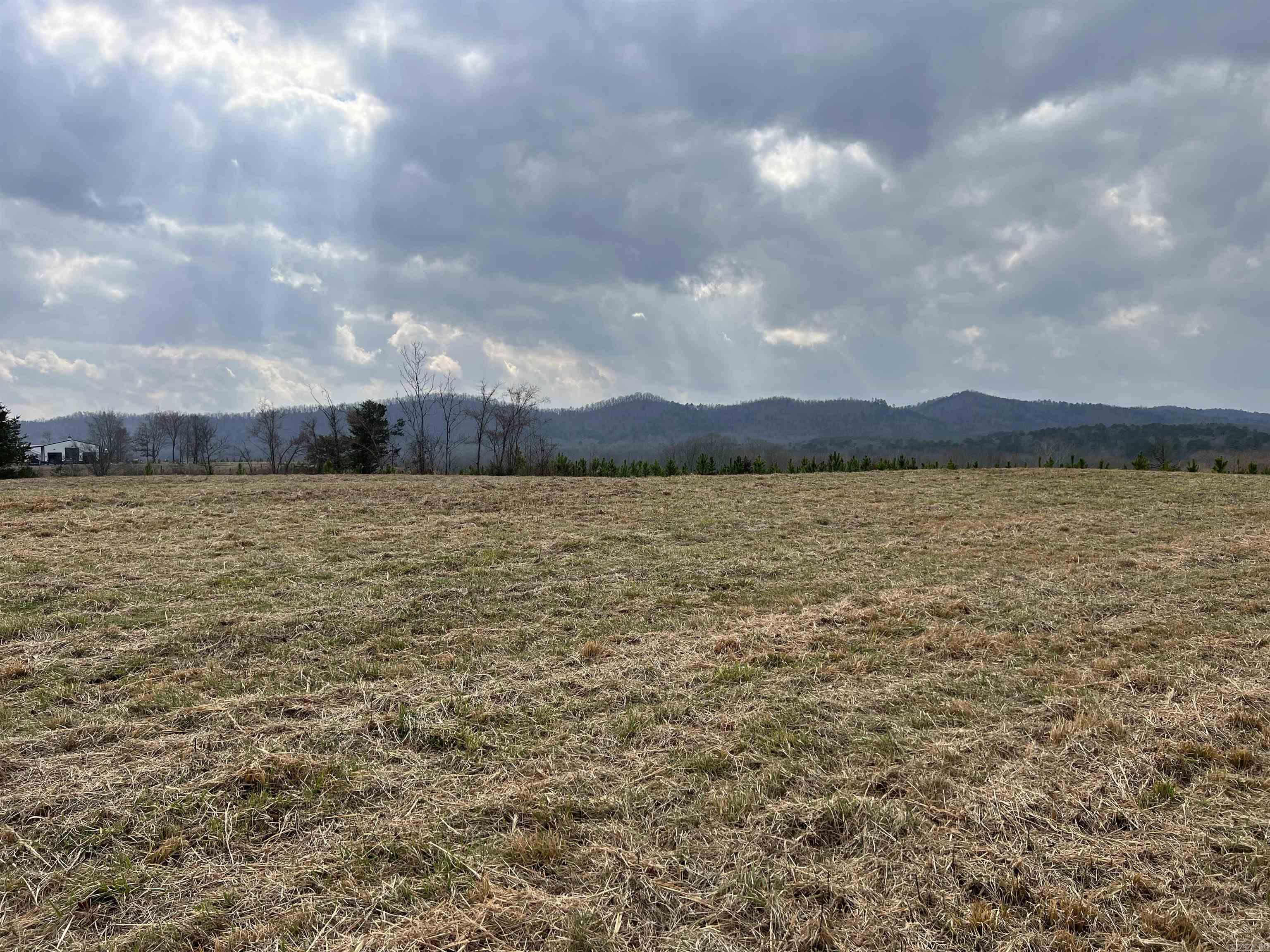 tract 10  Polk Road 684  Mena, AR