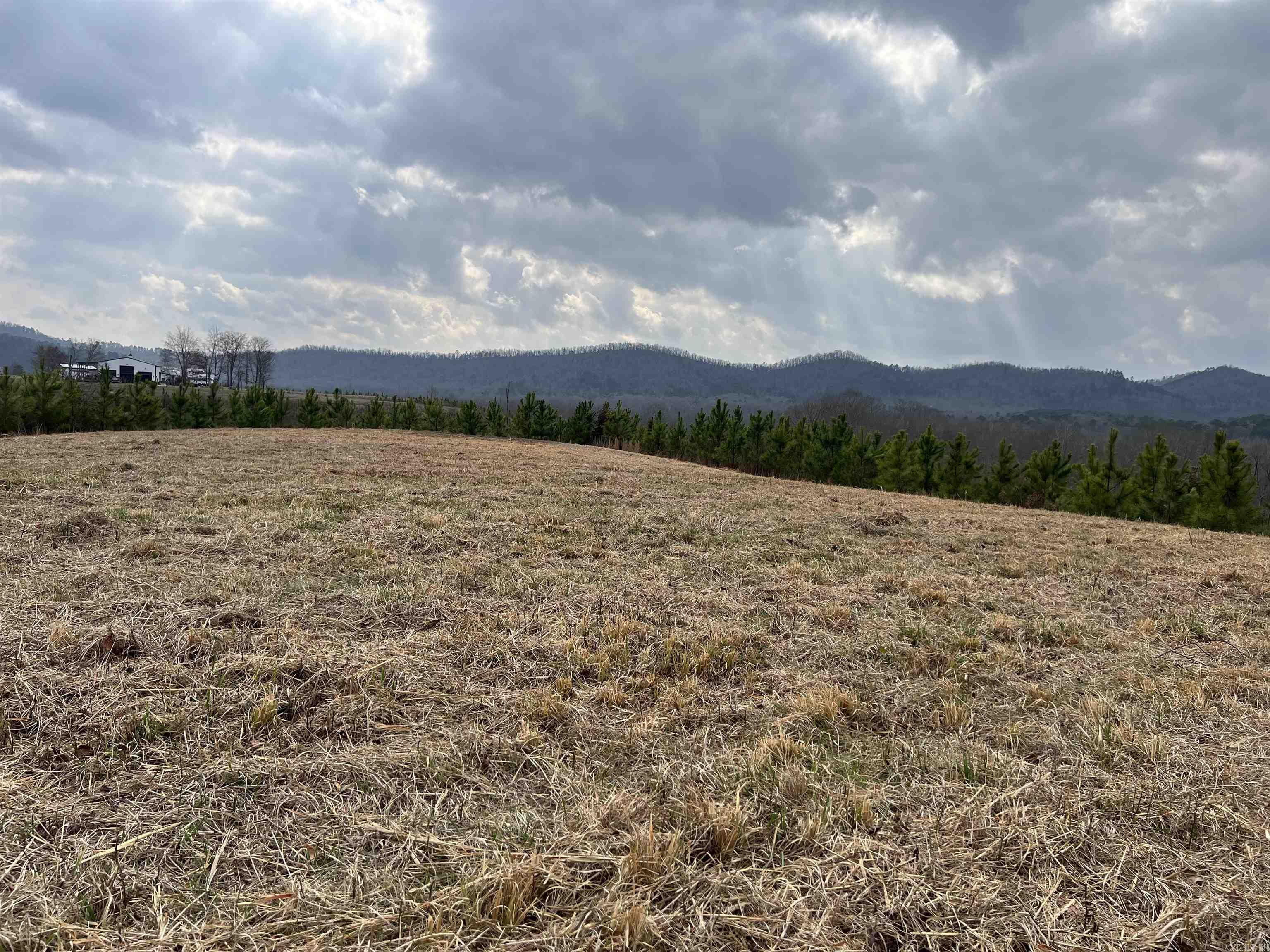 tract 10  Polk Road 684  Mena, AR