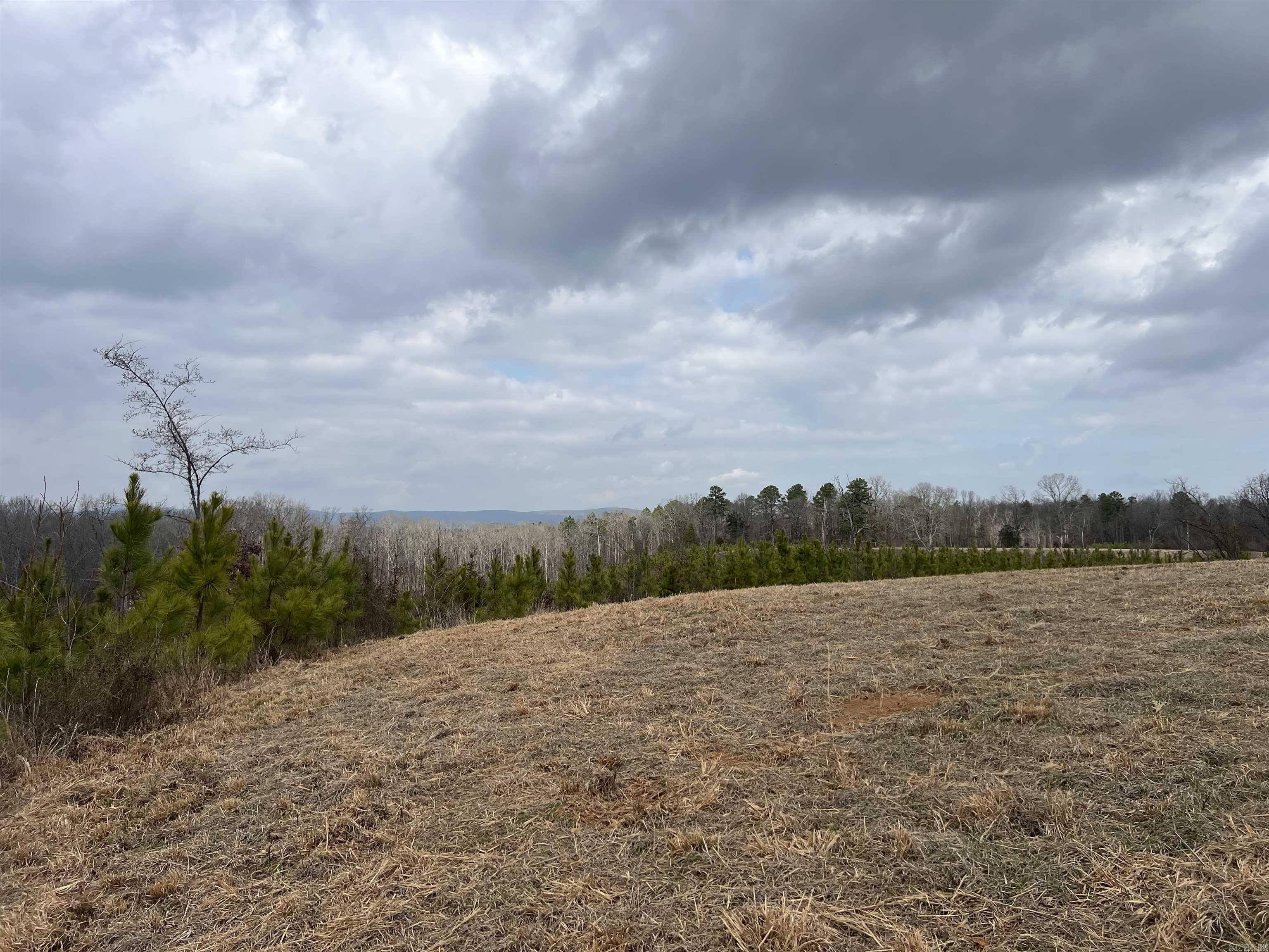 tract 10  Polk Road 684  Mena, AR