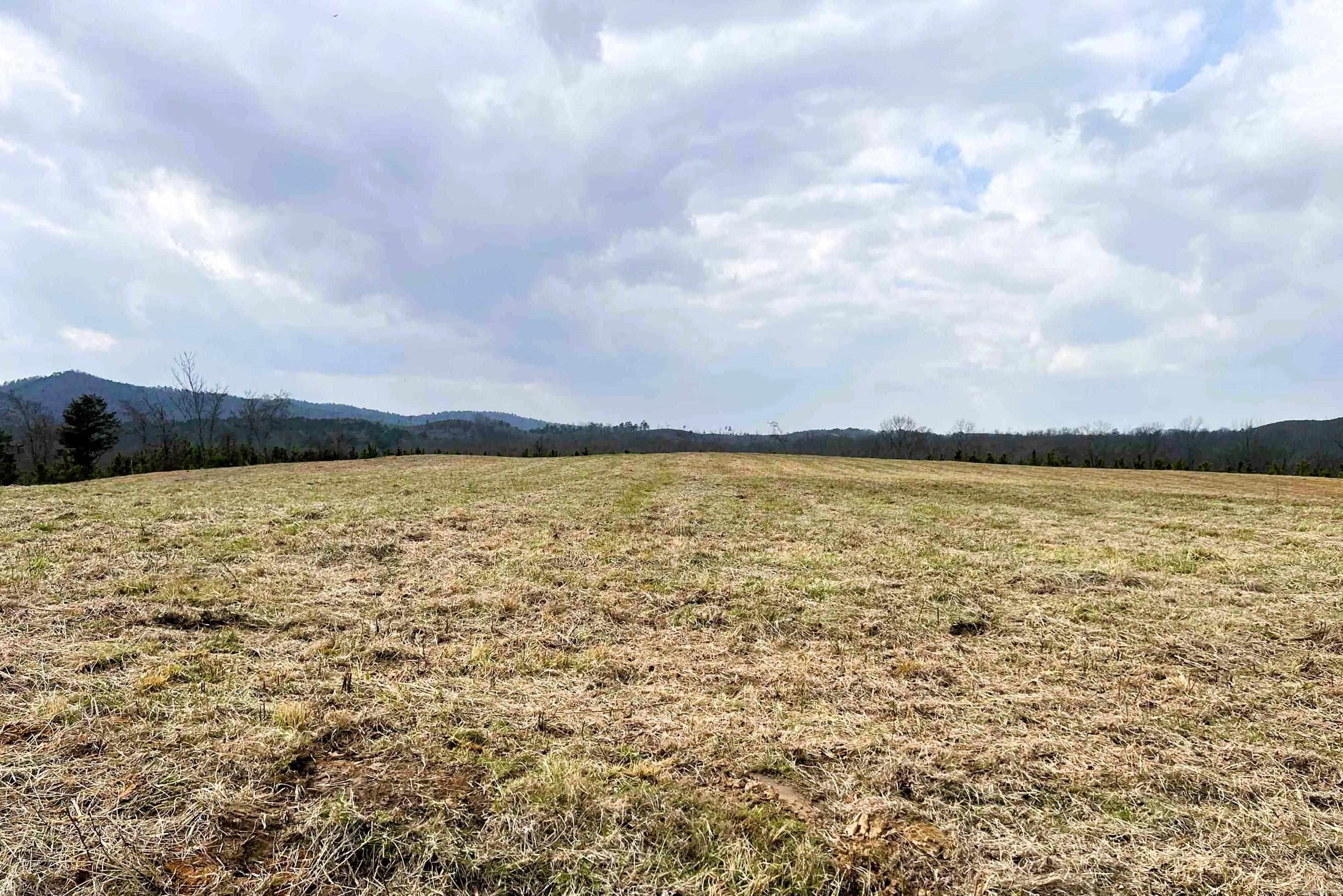 tract 10  Polk Road 684  Mena, AR