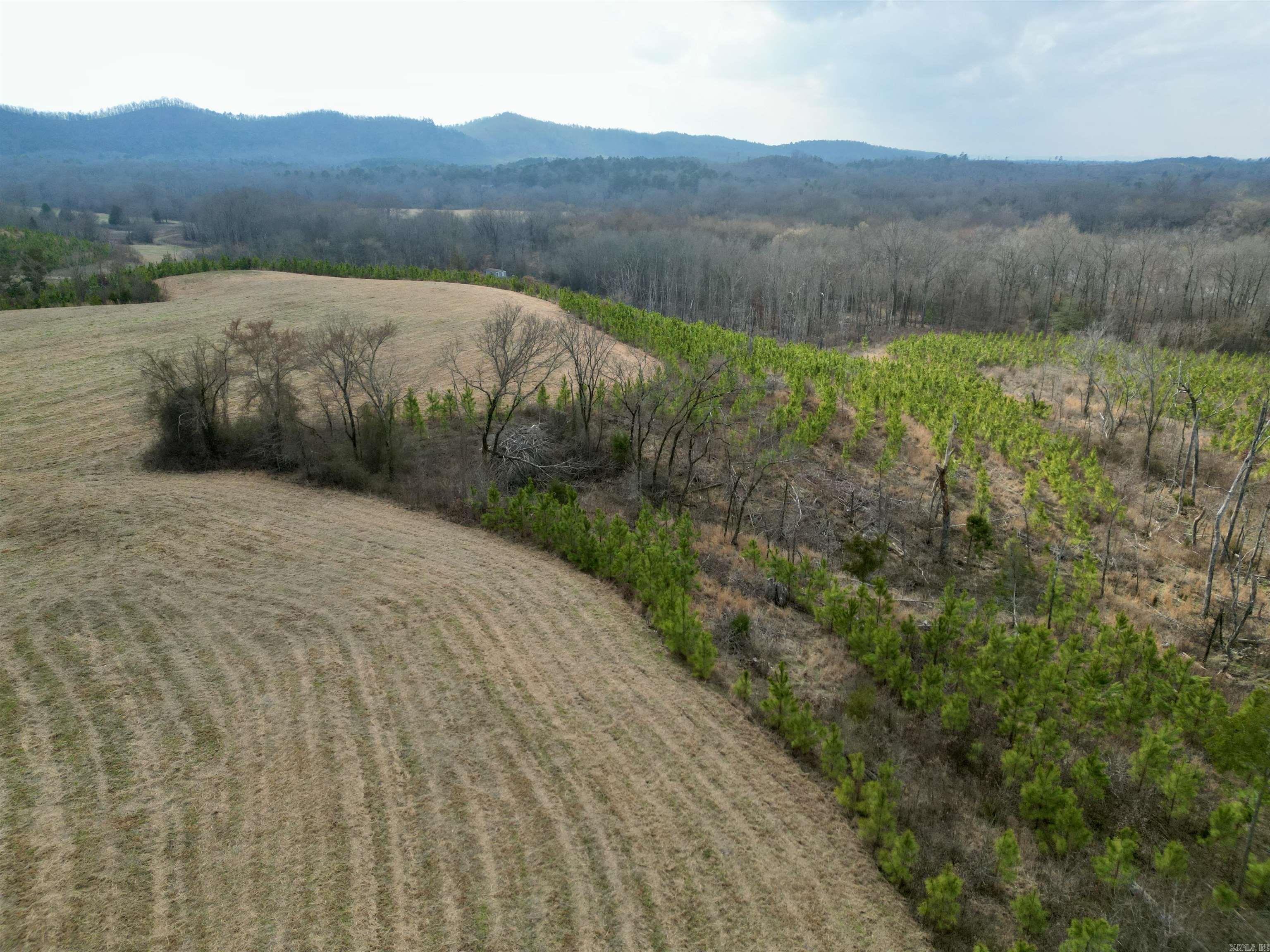tract 10  Polk Road 684  Mena, AR
