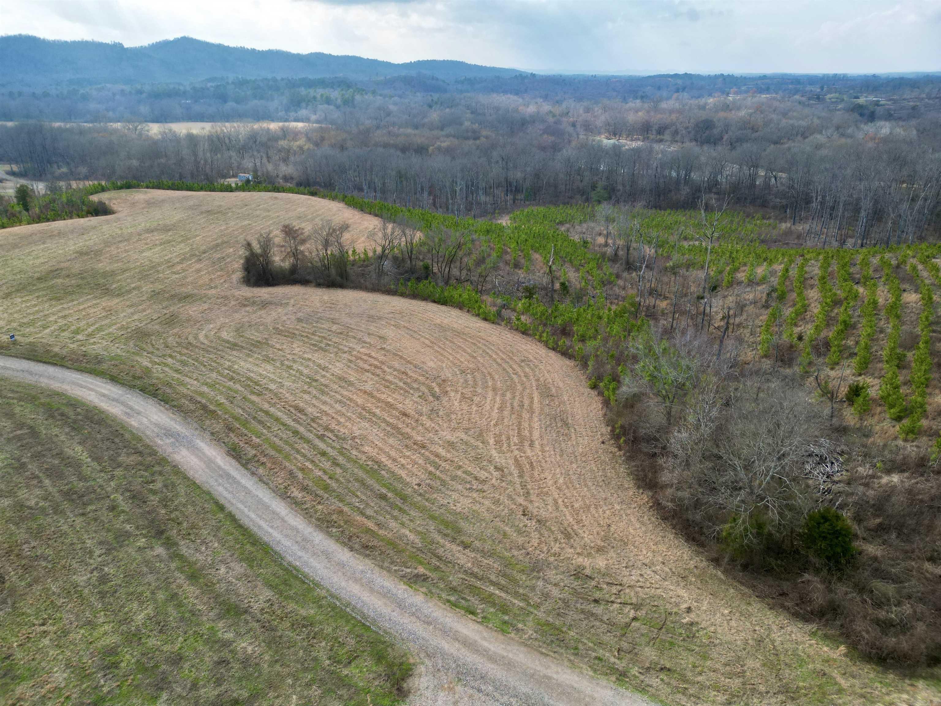 tract 10  Polk Road 684  Mena, AR