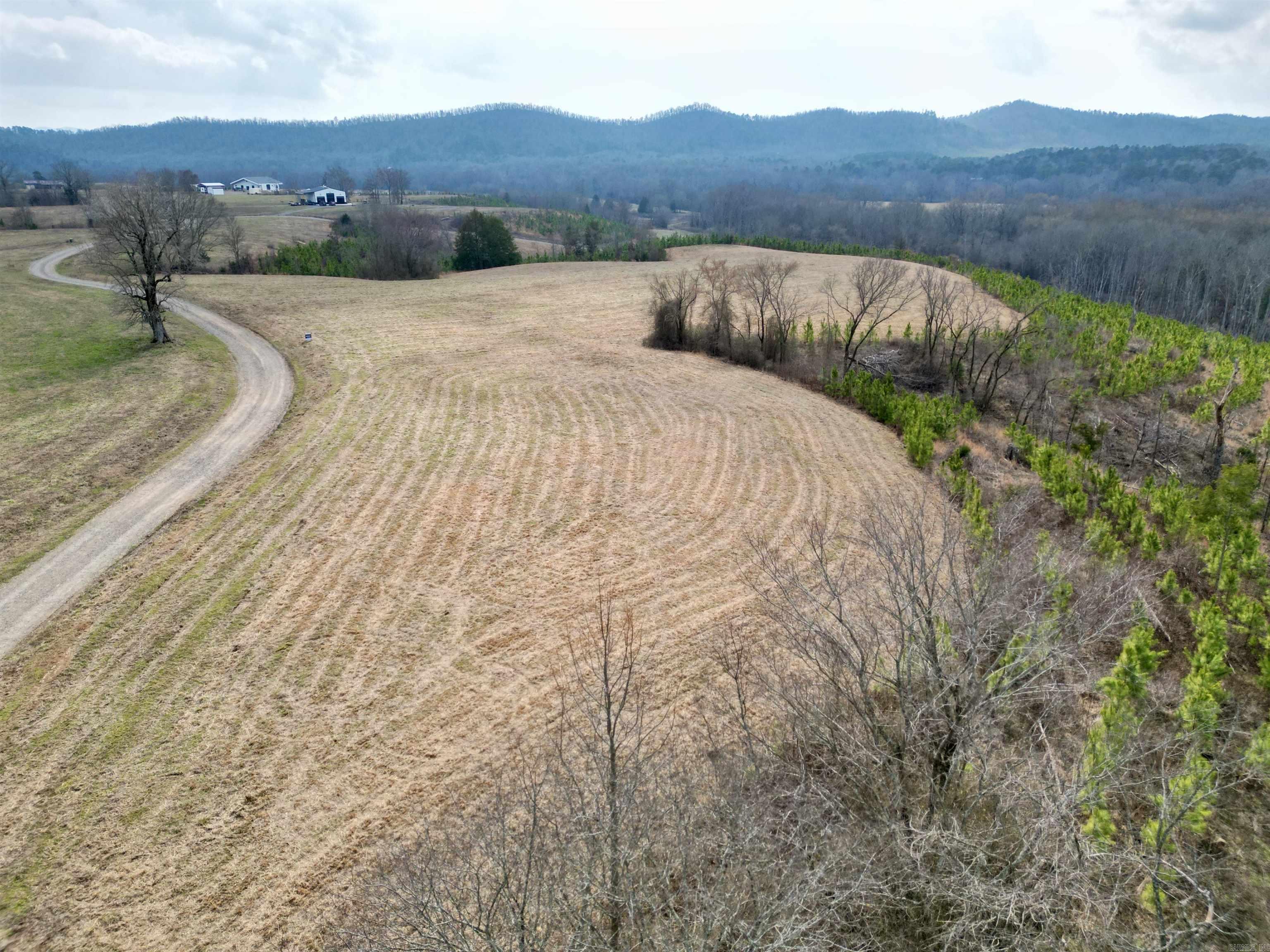 tract 10  Polk Road 684  Mena, AR