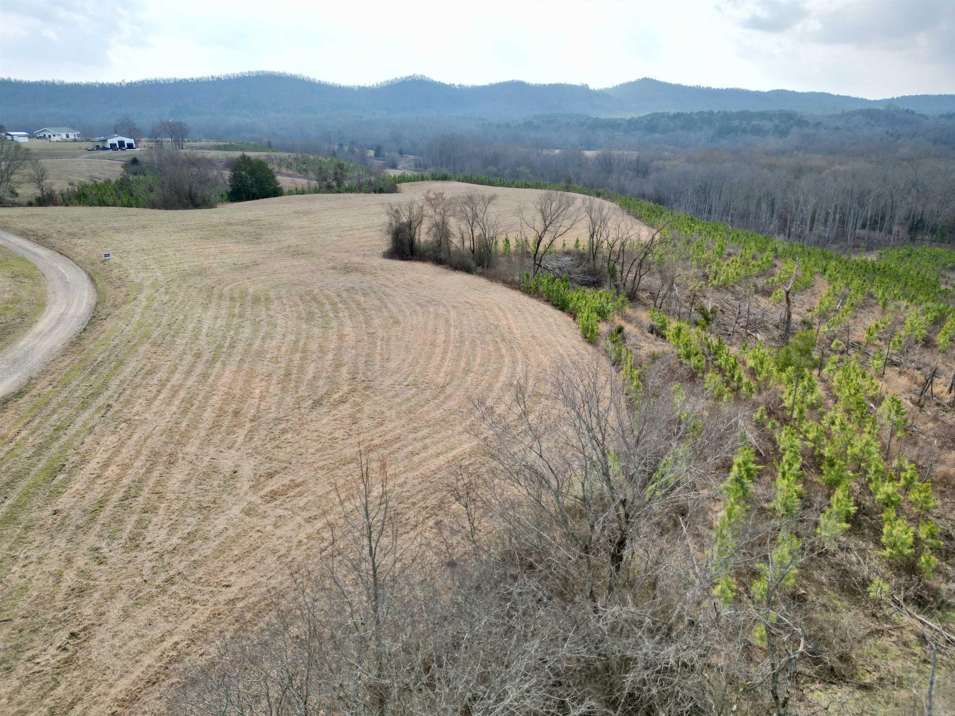 tract 10  Polk Road 684  Mena, AR