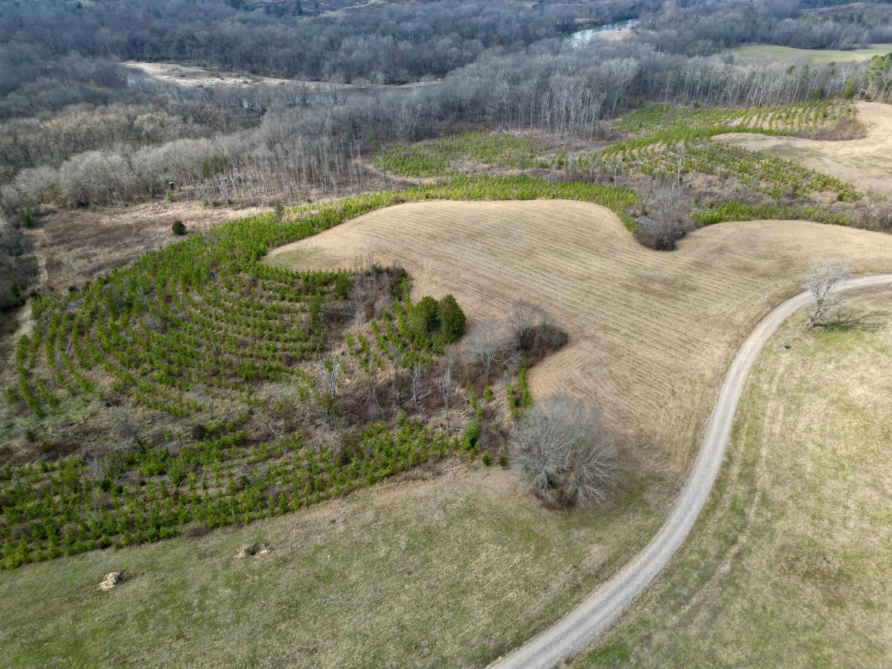 tract 10  Polk Road 684  Mena, AR