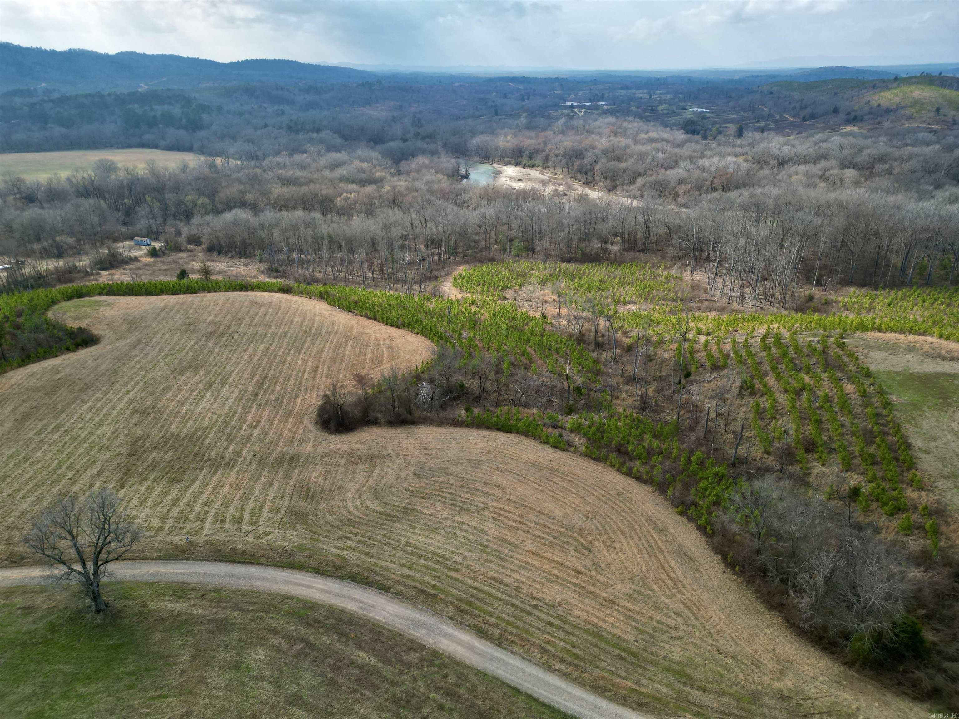 tract 10  Polk Road 684  Mena, AR