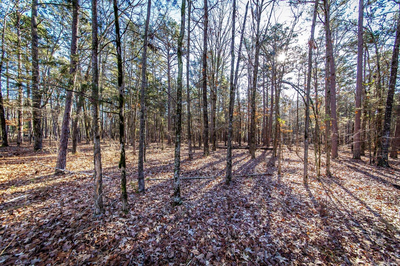 000  WOODS LANE  Clinton, AR