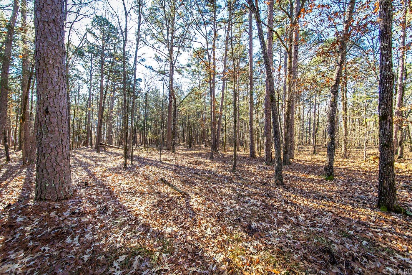 000  WOODS LANE  Clinton, AR