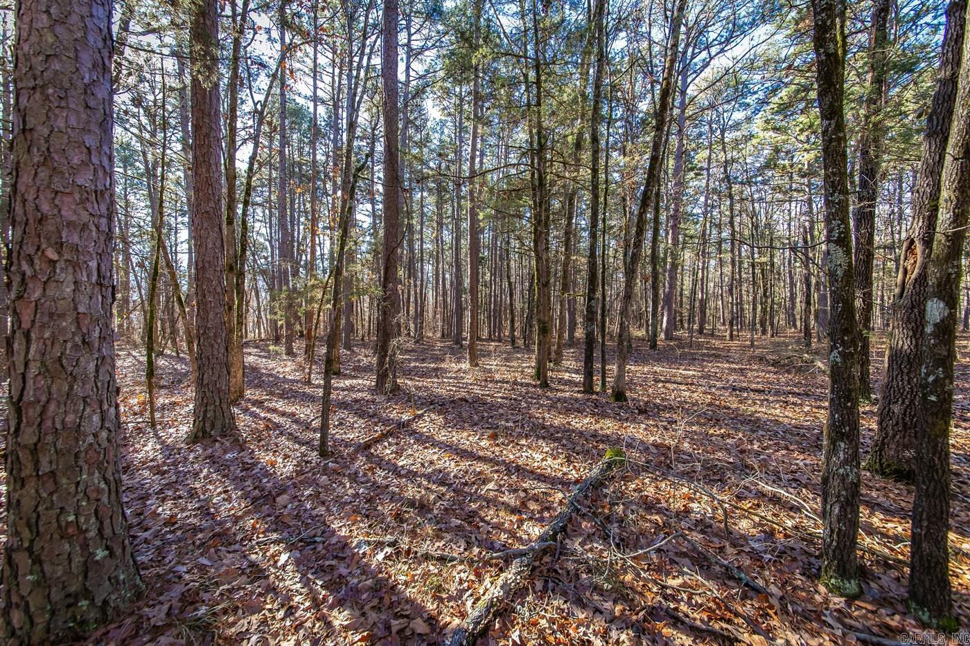 000  WOODS LANE  Clinton, AR