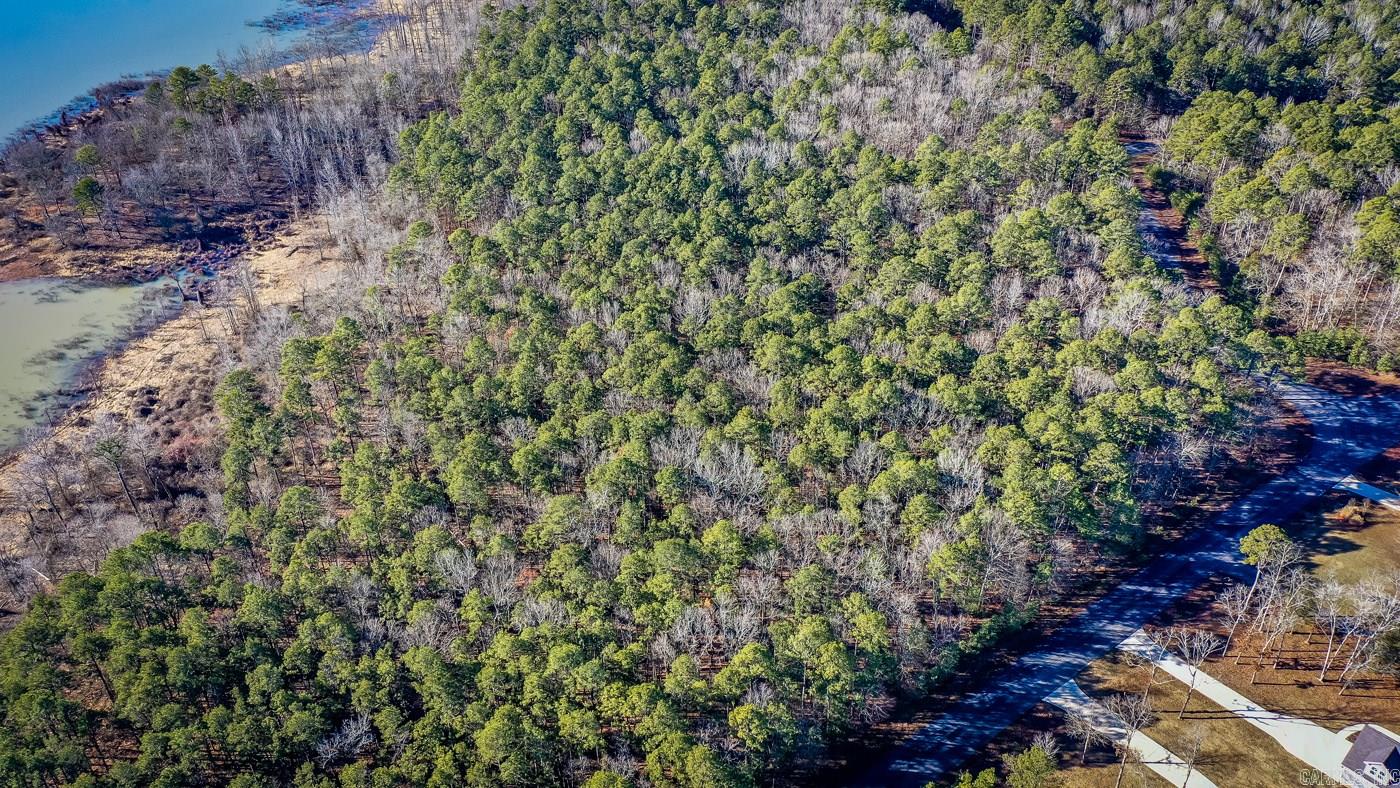 000  WOODS LANE  Clinton, AR