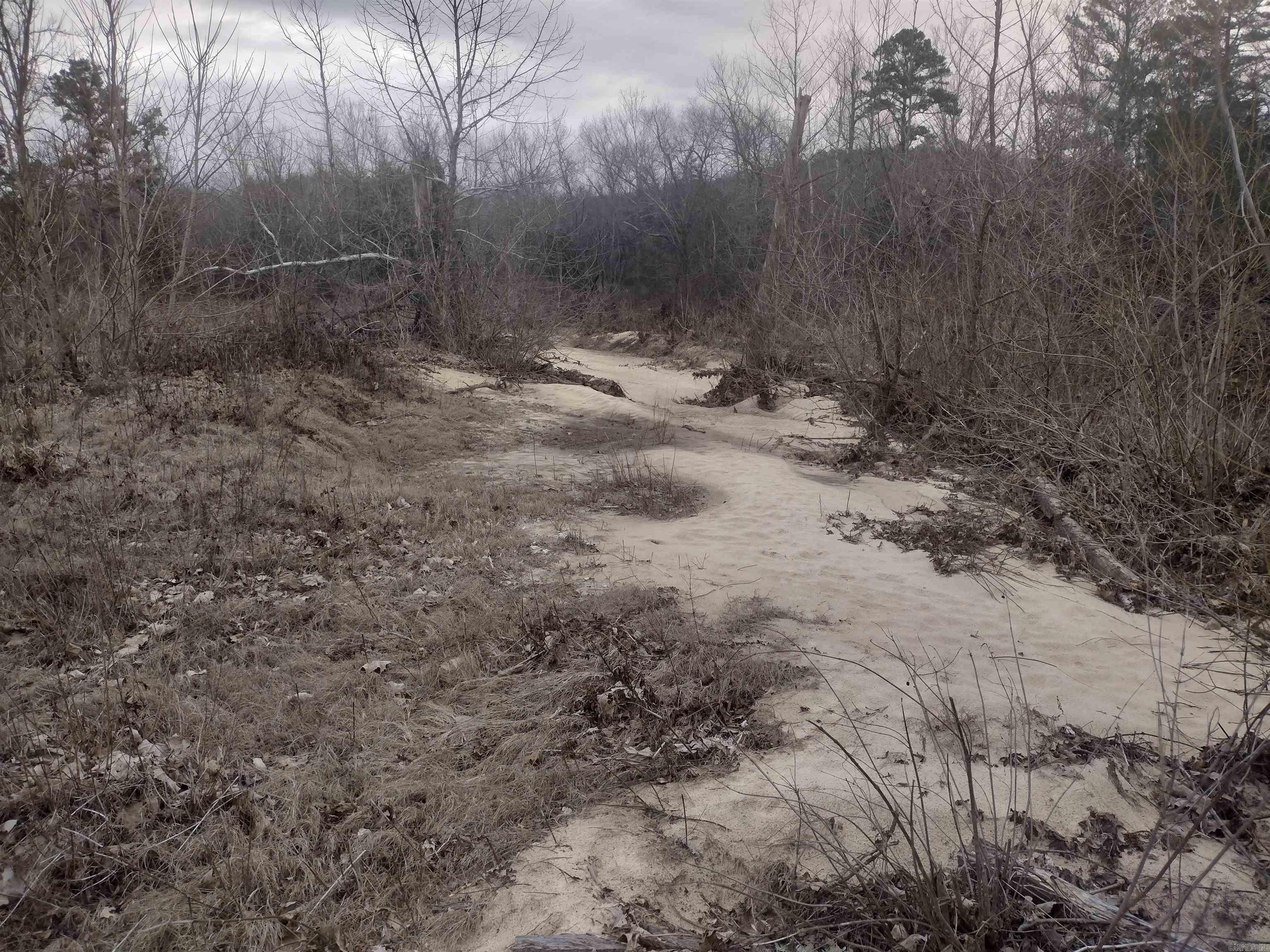 8840  HWY 56  Calico Rock, AR
