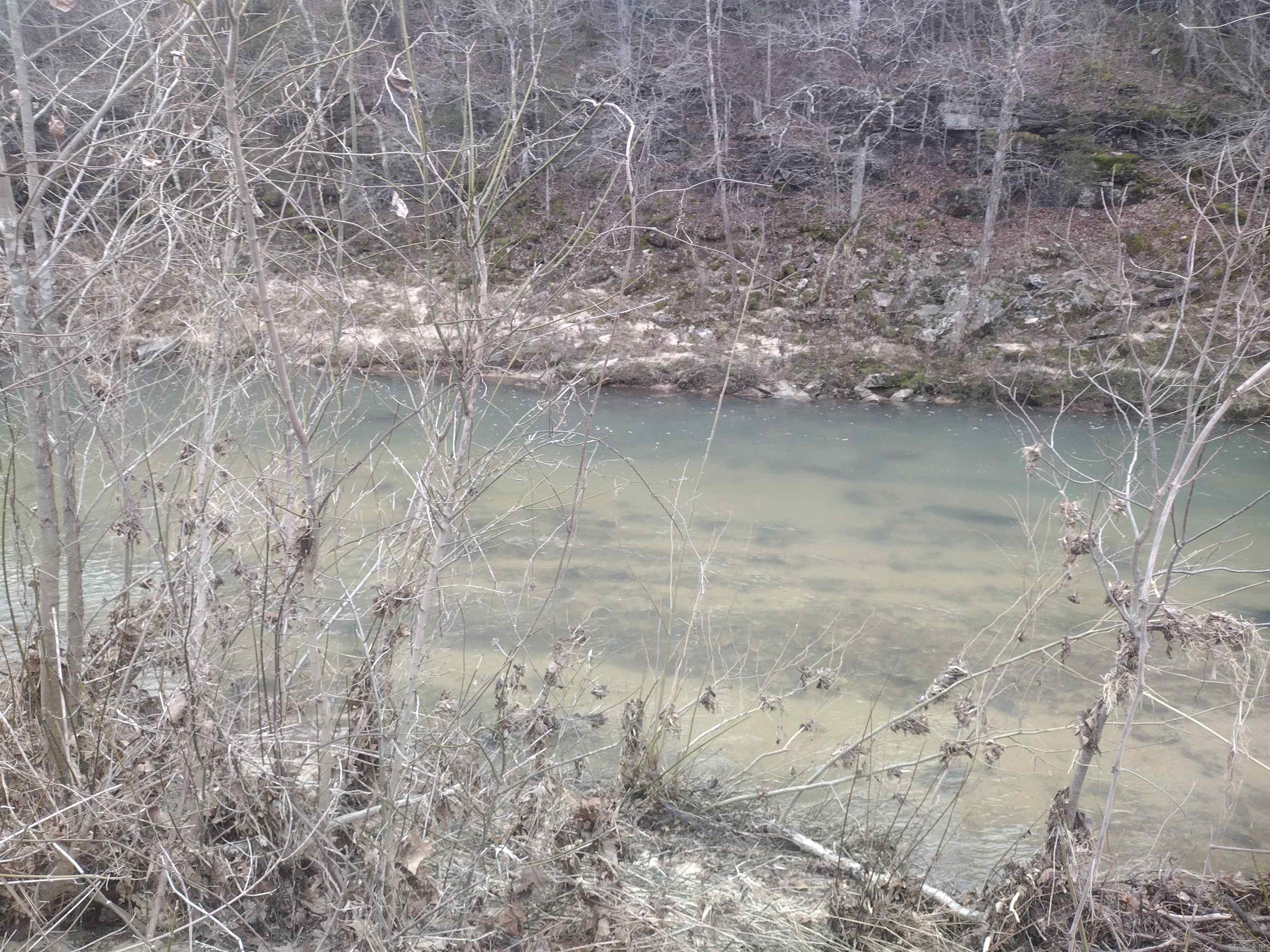 8840  HWY 56  Calico Rock, AR