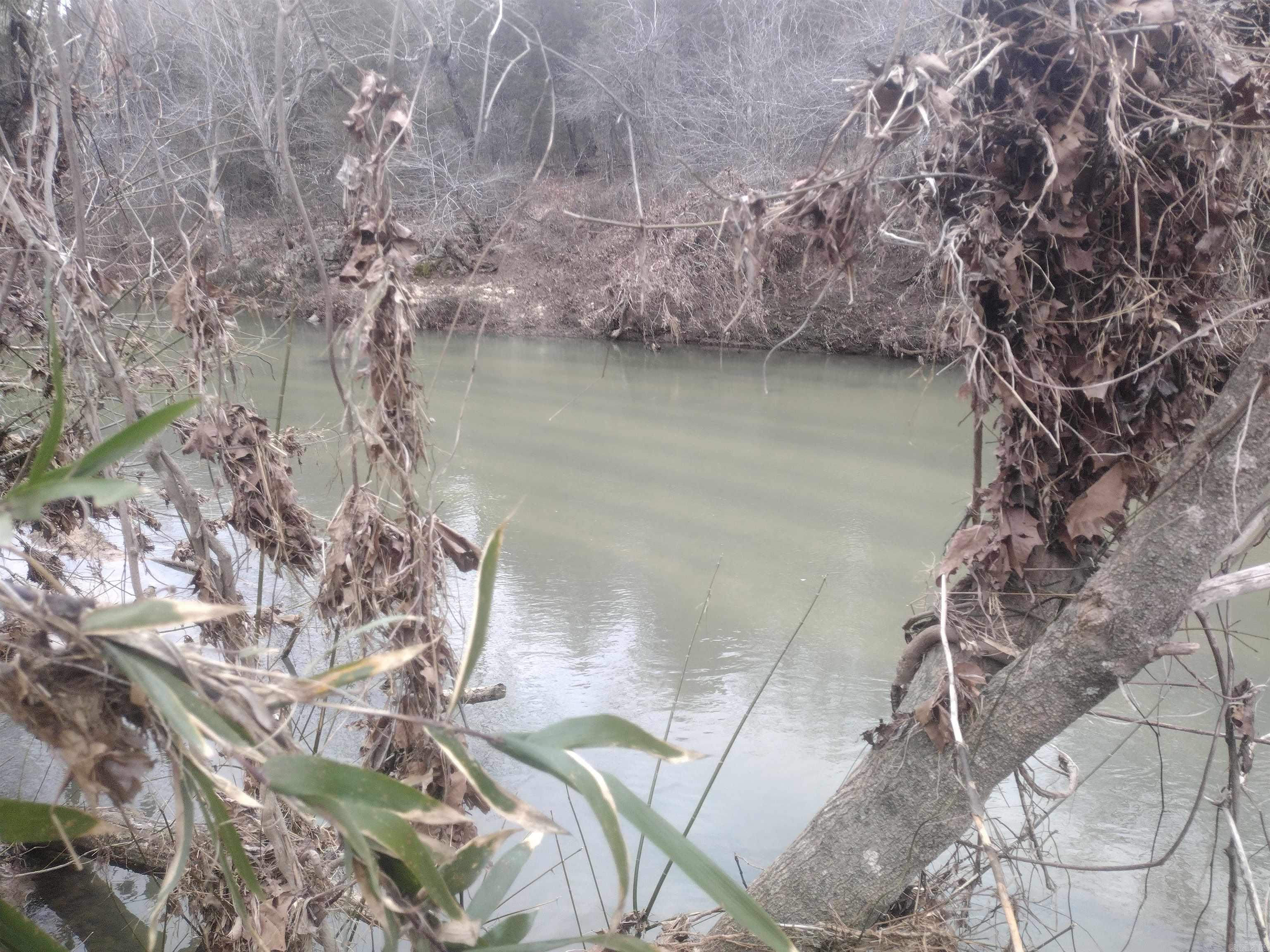 8840  HWY 56  Calico Rock, AR