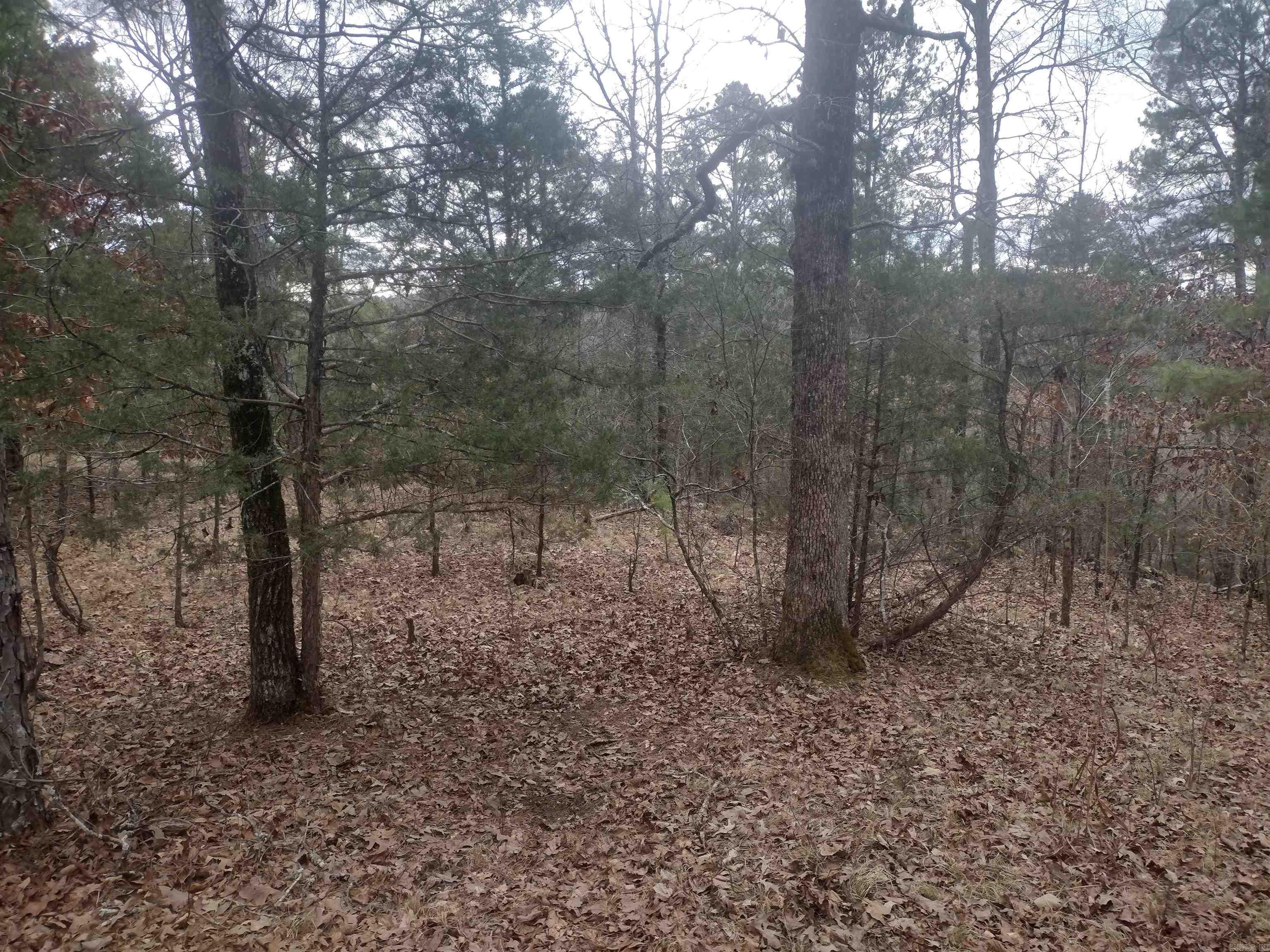 8840  HWY 56  Calico Rock, AR