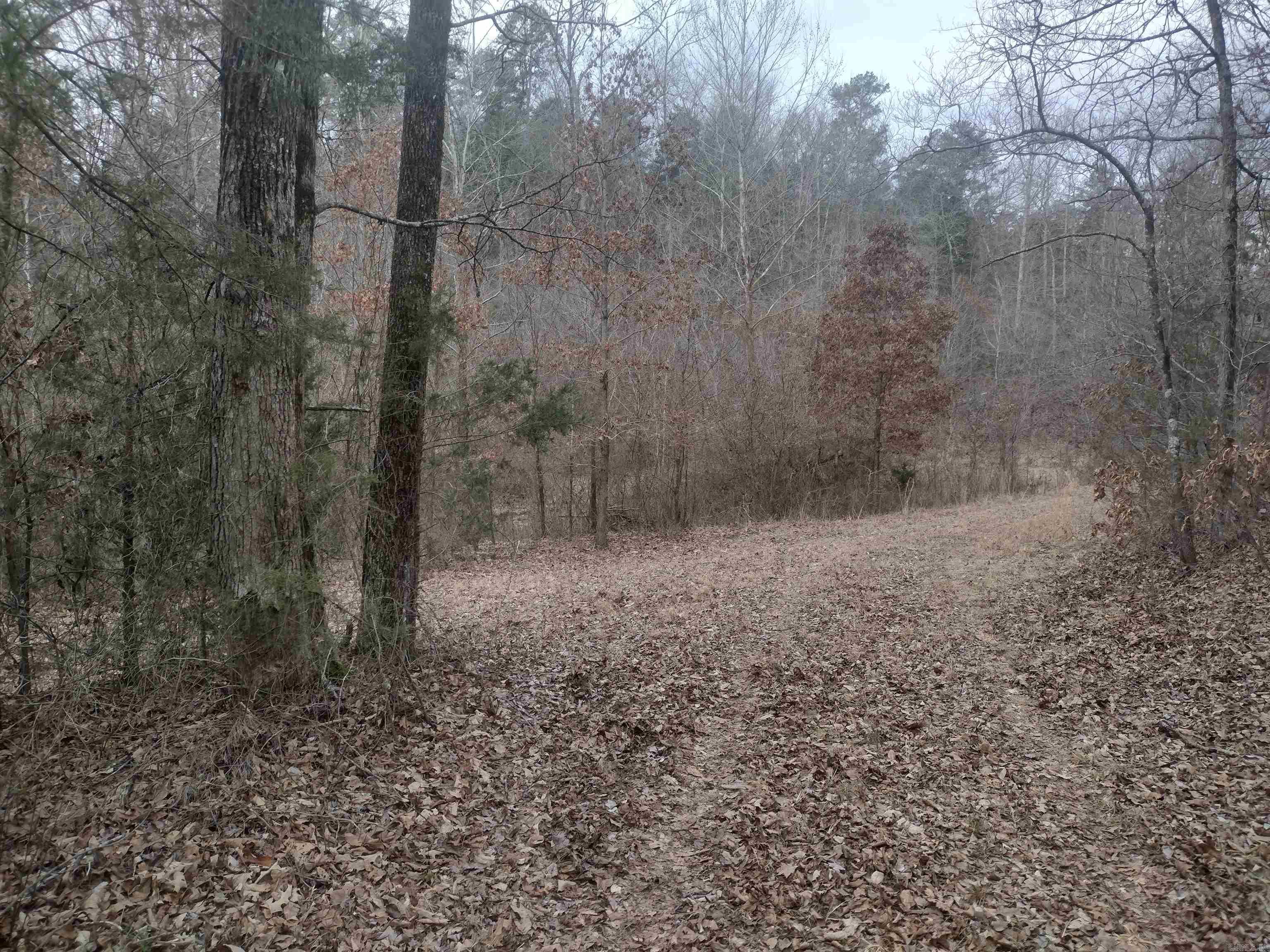 8840  HWY 56  Calico Rock, AR