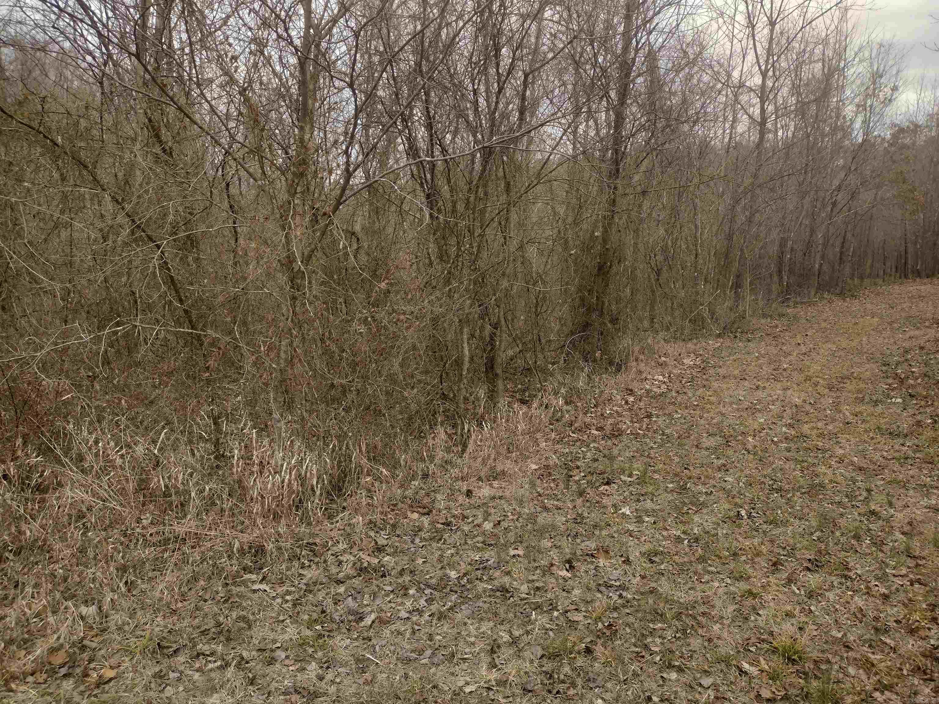 8840  HWY 56  Calico Rock, AR