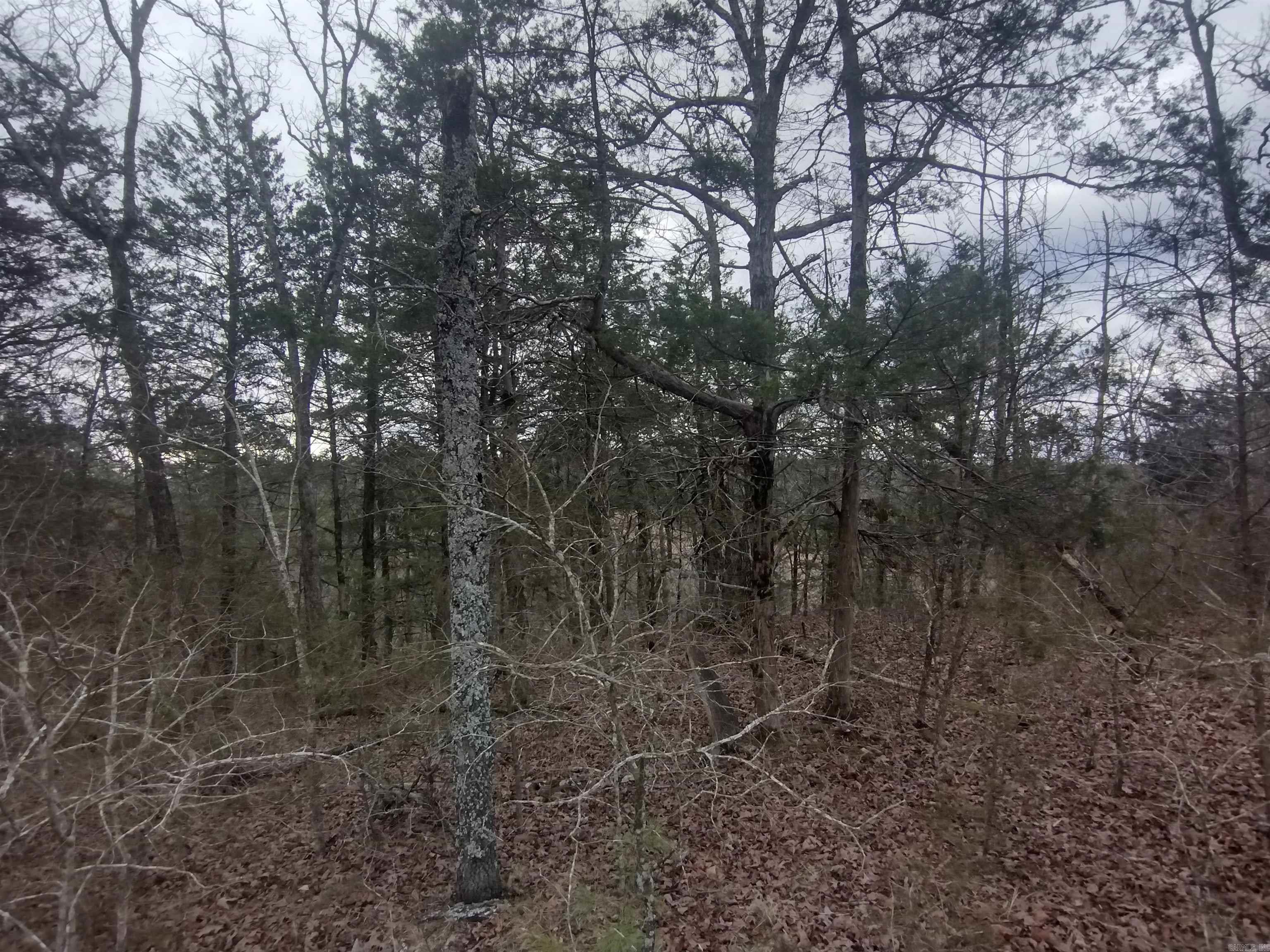 8840  HWY 56  Calico Rock, AR