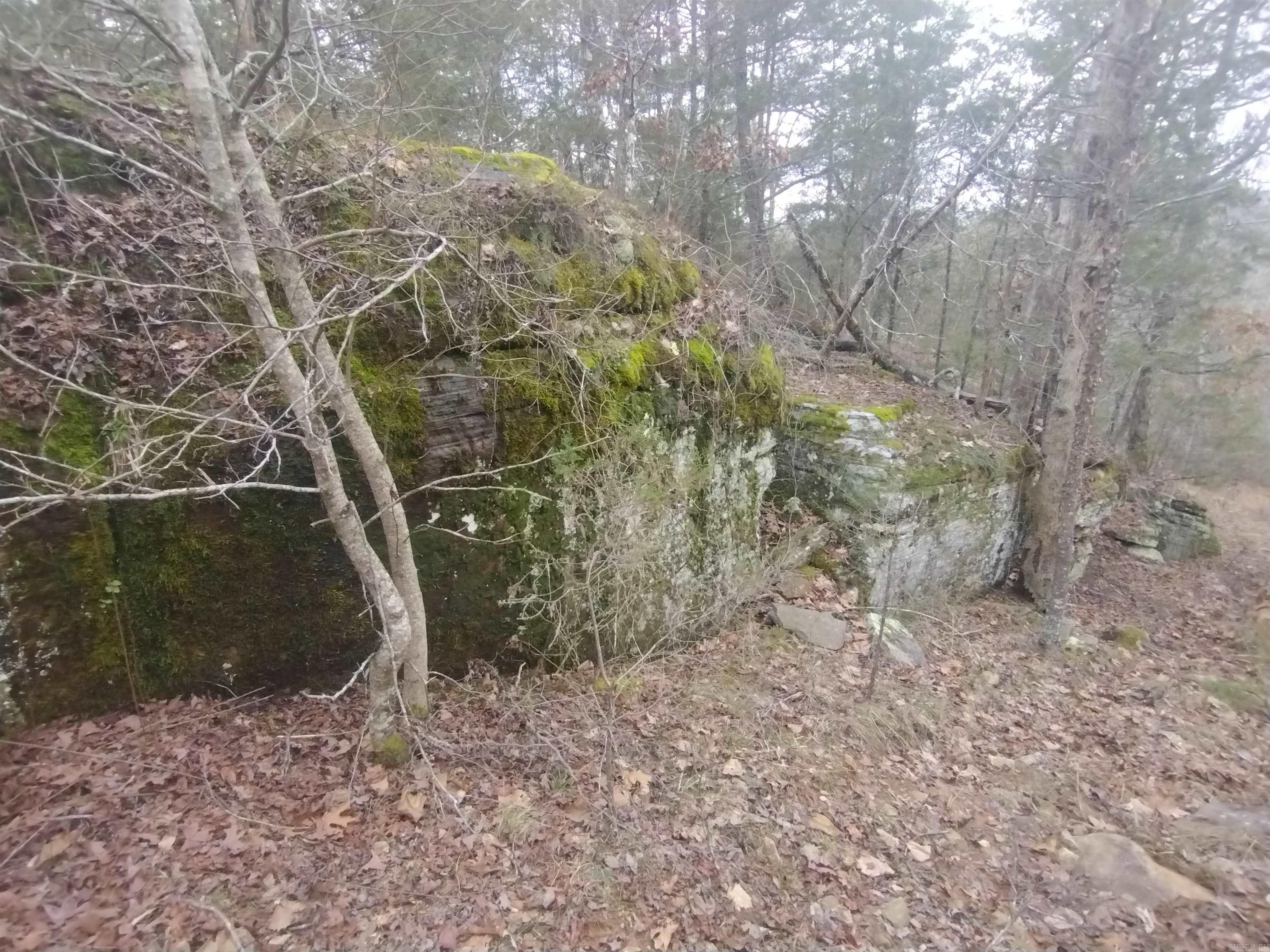 8840  HWY 56  Calico Rock, AR