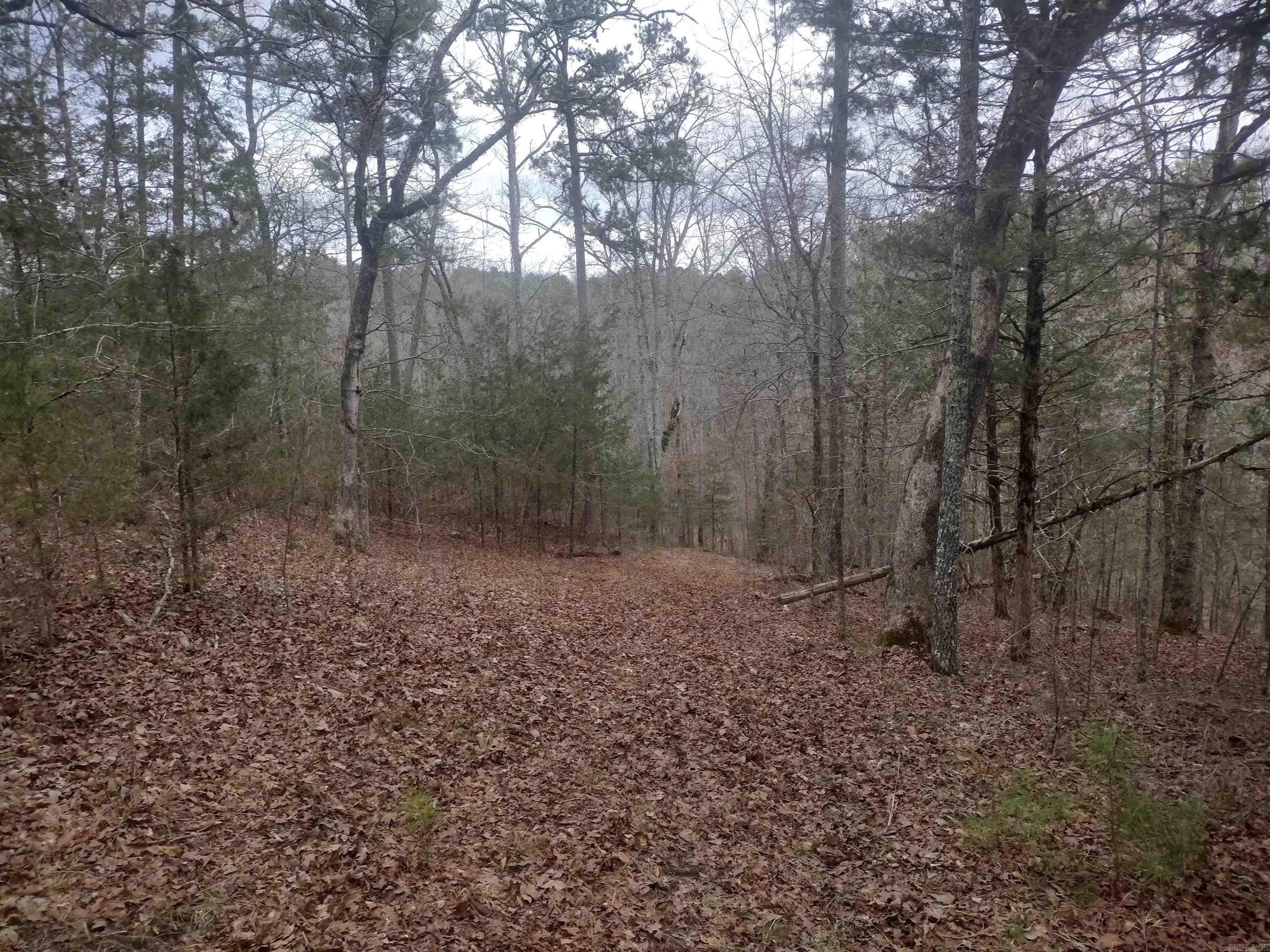 8840  HWY 56  Calico Rock, AR