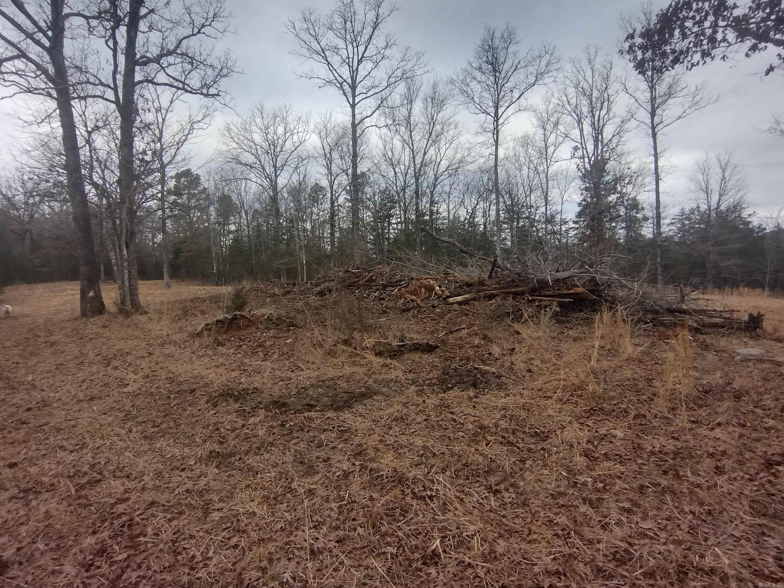 8840  HWY 56  Calico Rock, AR