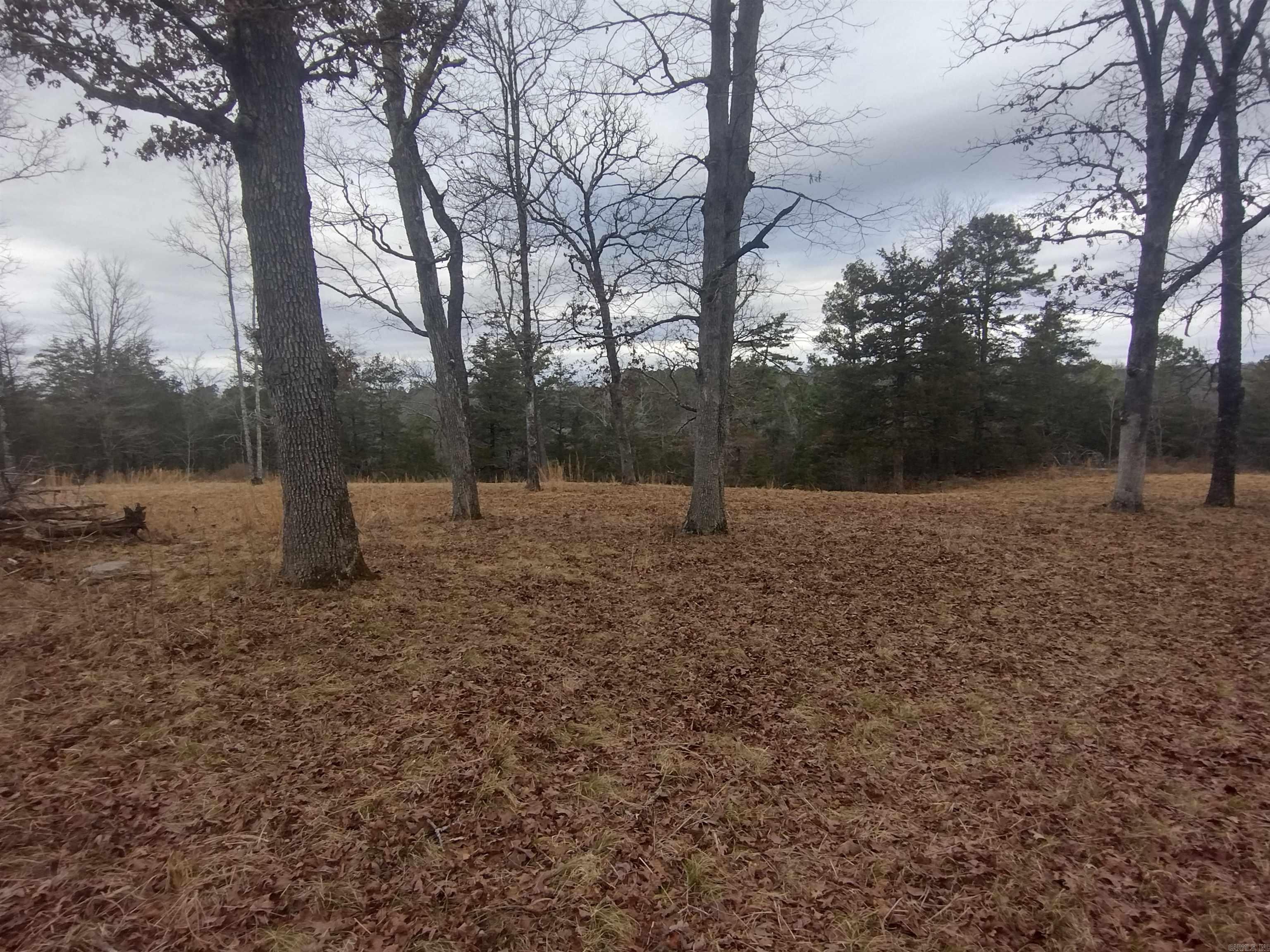 8840  HWY 56  Calico Rock, AR