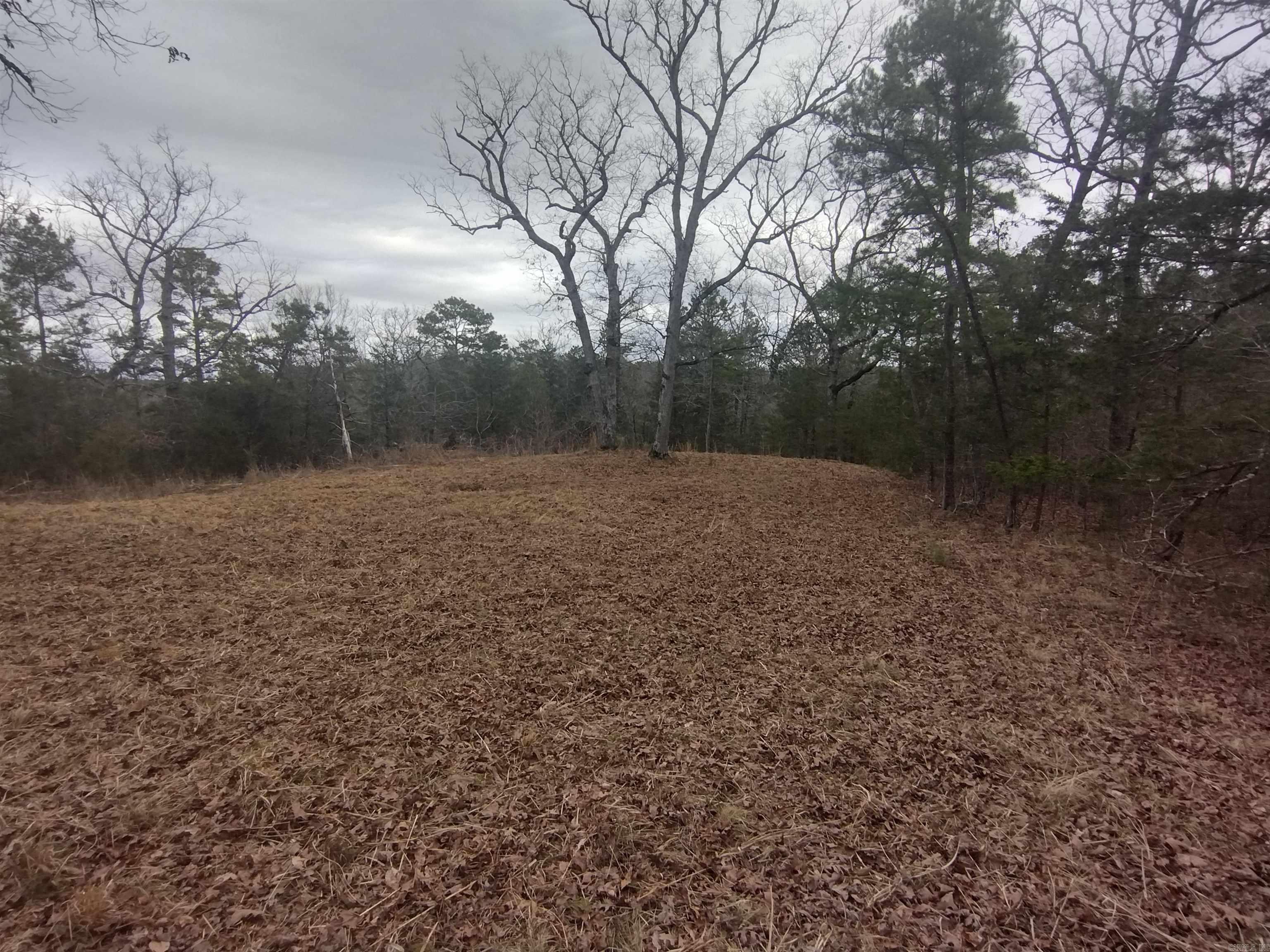 8840  HWY 56  Calico Rock, AR