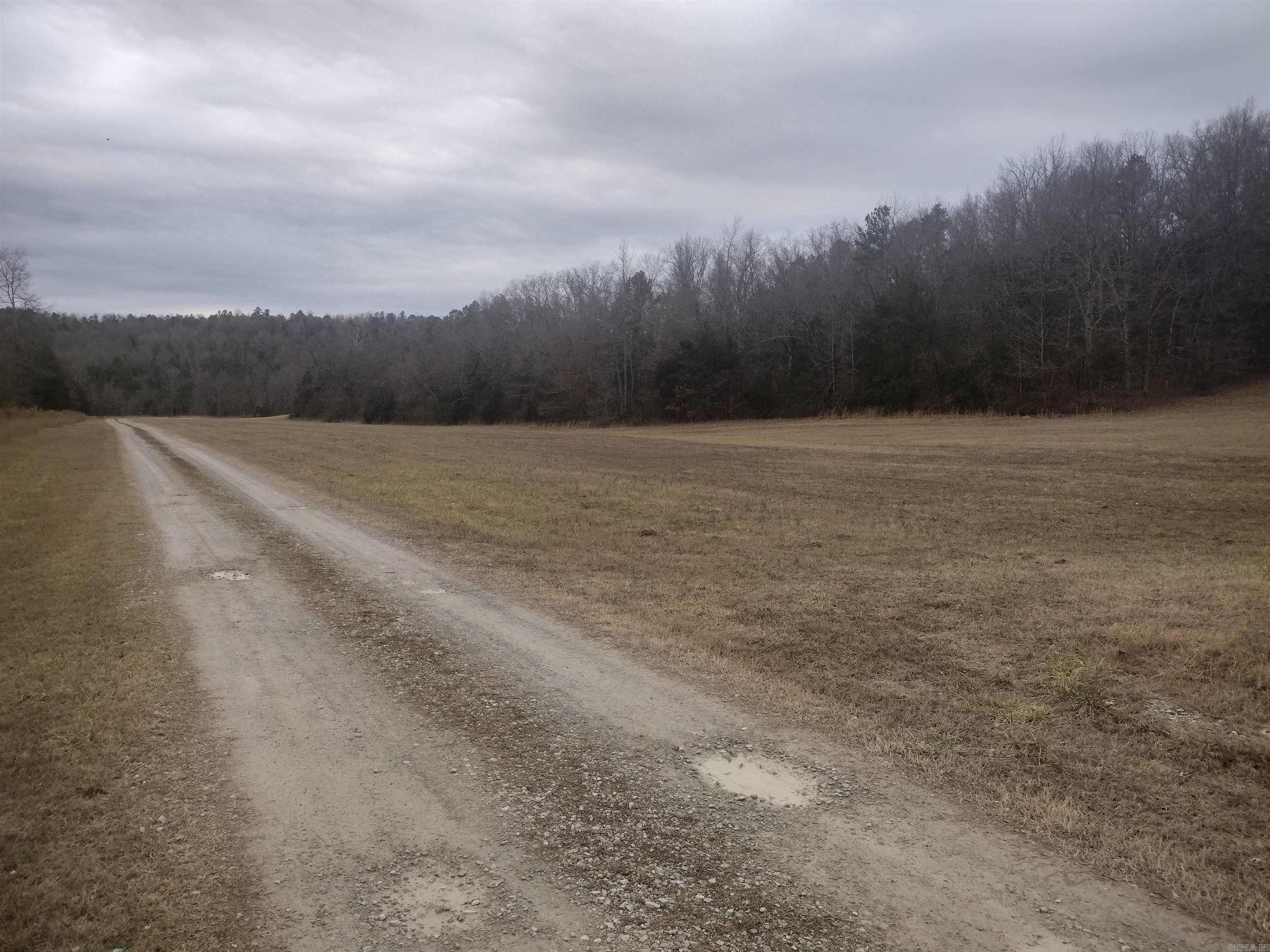 8840  HWY 56  Calico Rock, AR