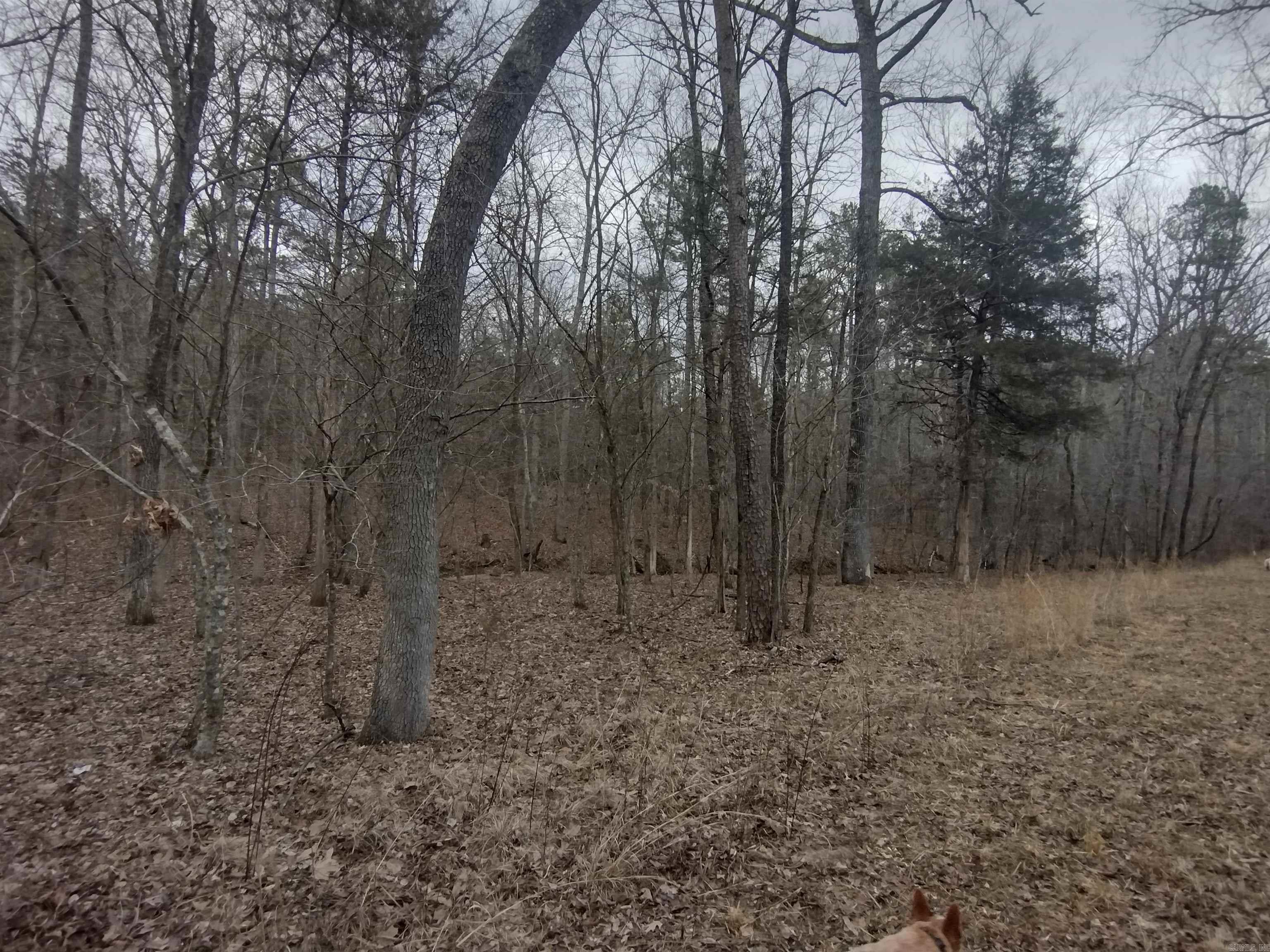 8840  HWY 56  Calico Rock, AR