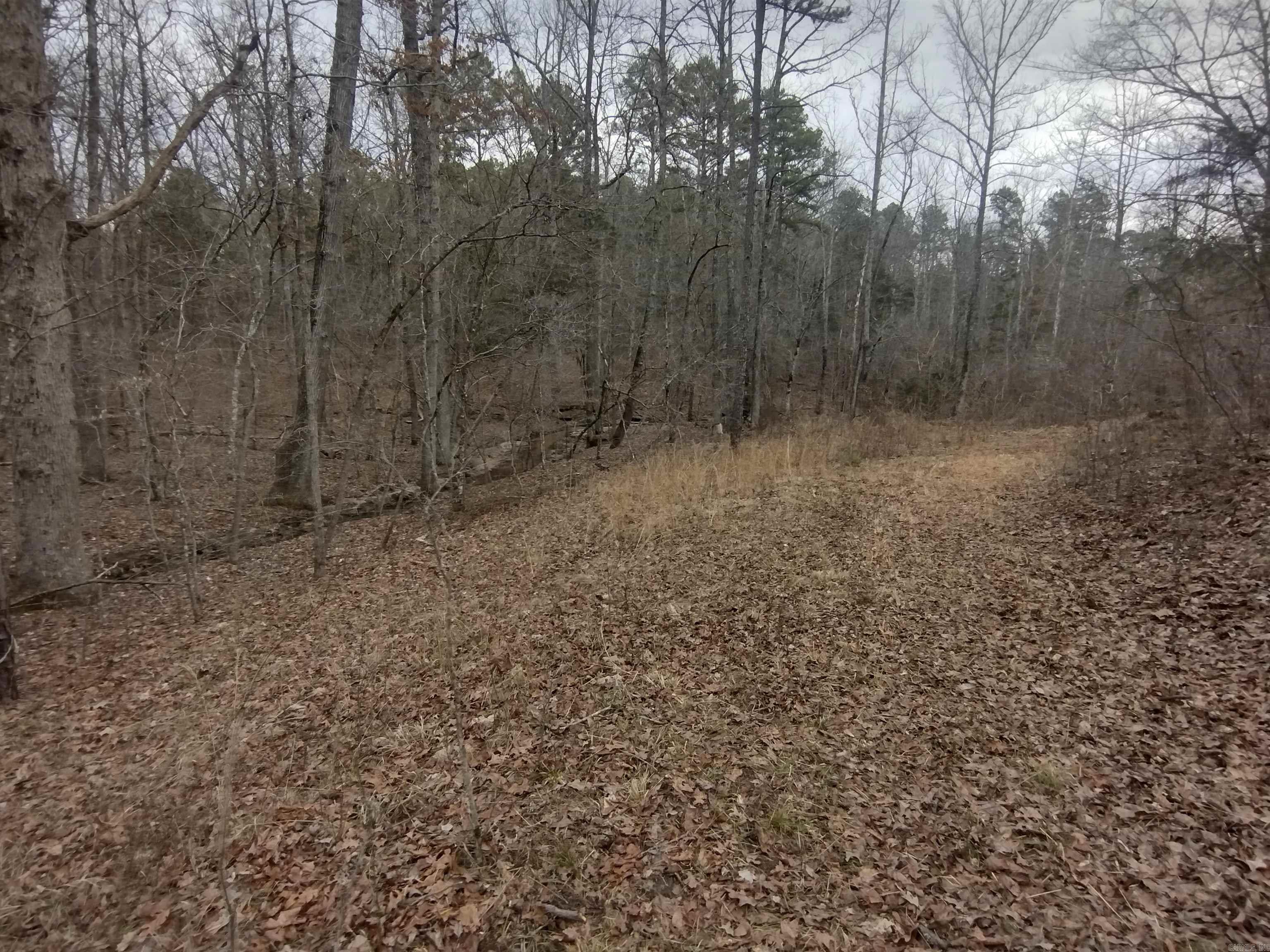 8840  HWY 56  Calico Rock, AR