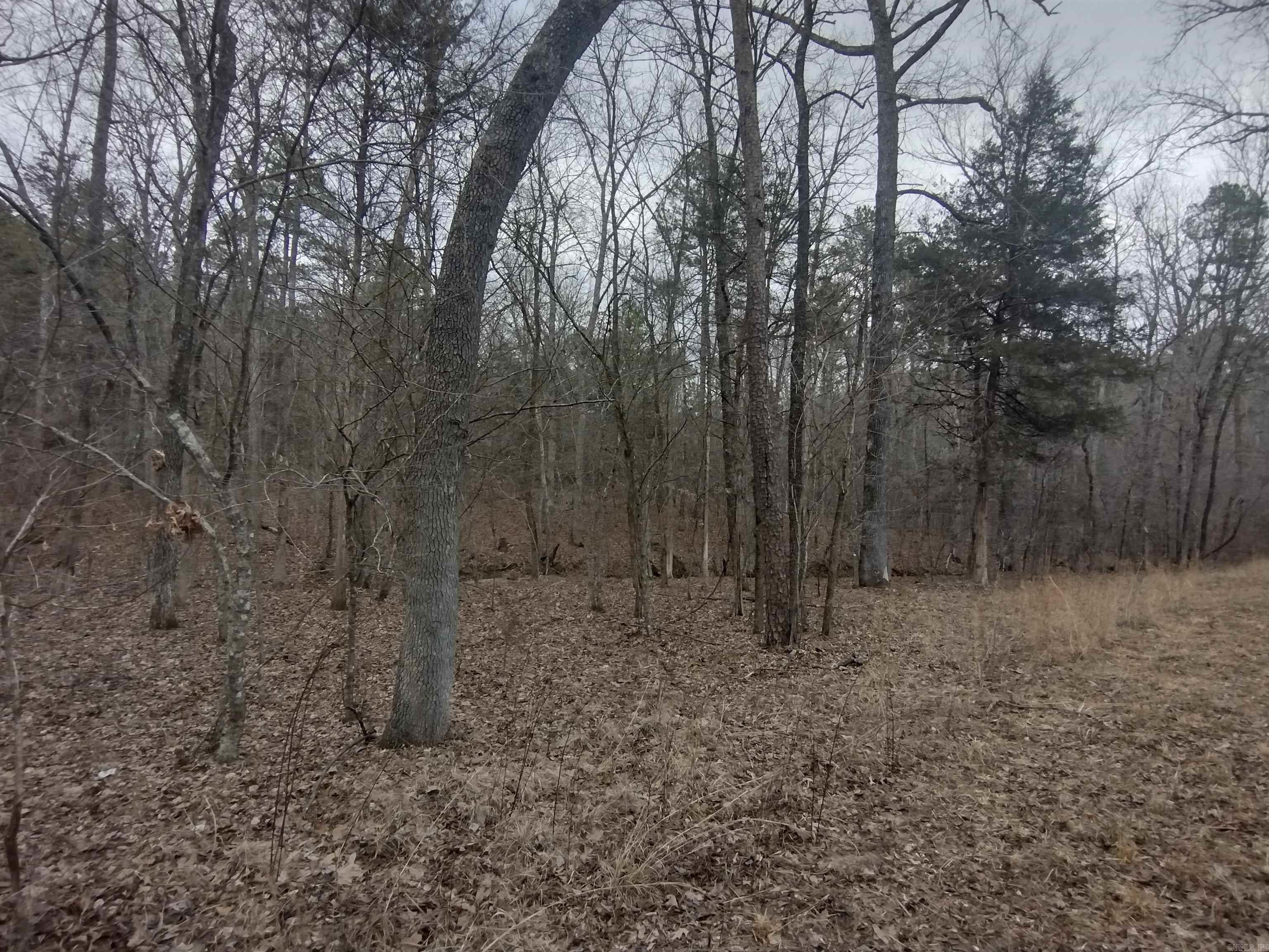 8840  HWY 56  Calico Rock, AR