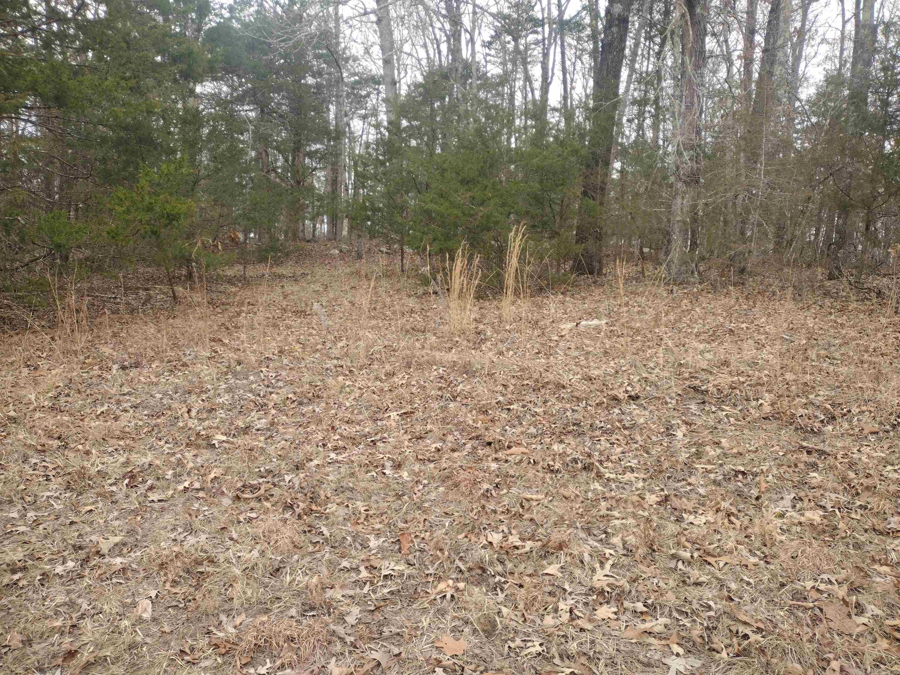 8840  HWY 56  Calico Rock, AR