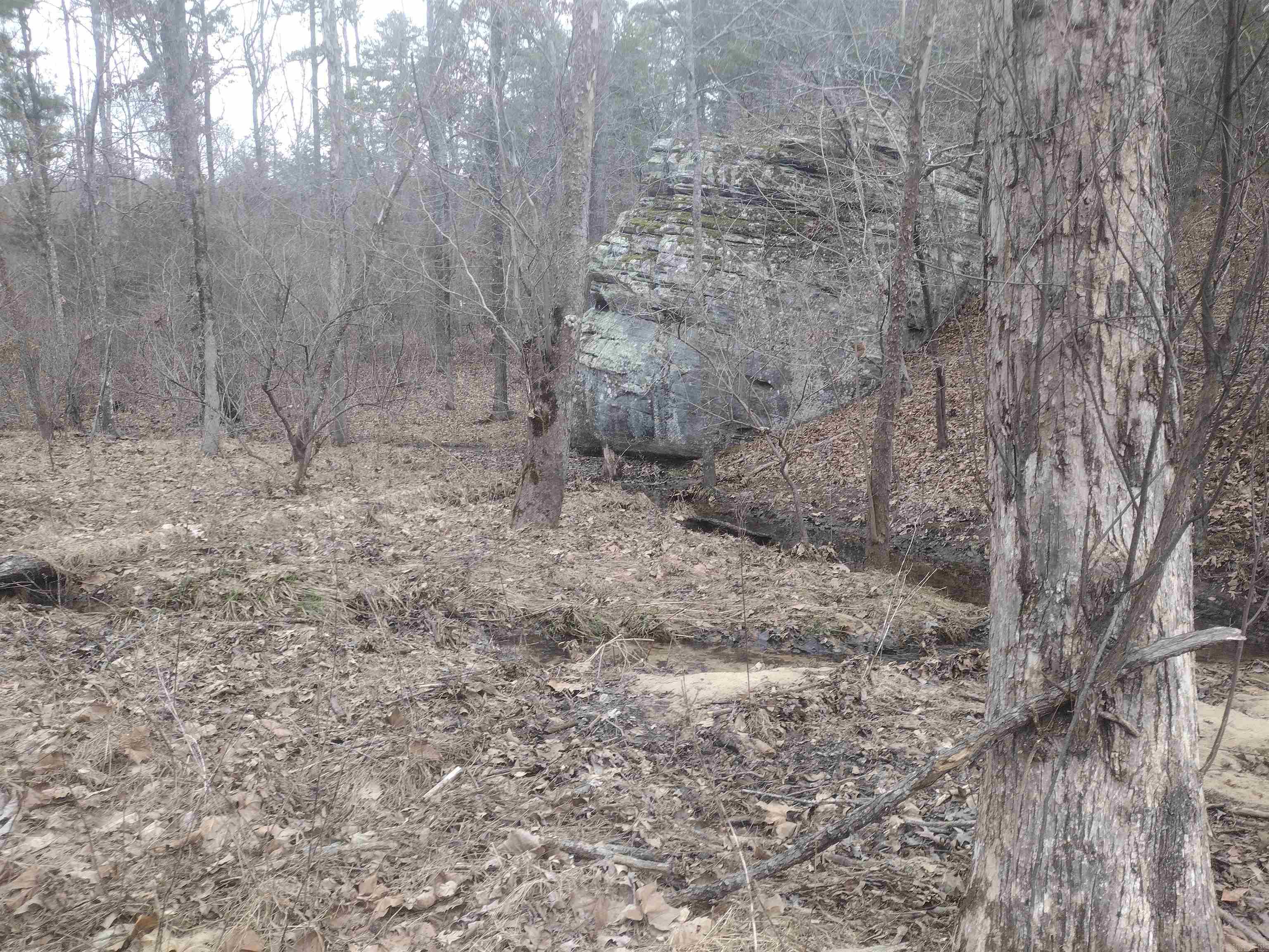 8840  HWY 56  Calico Rock, AR