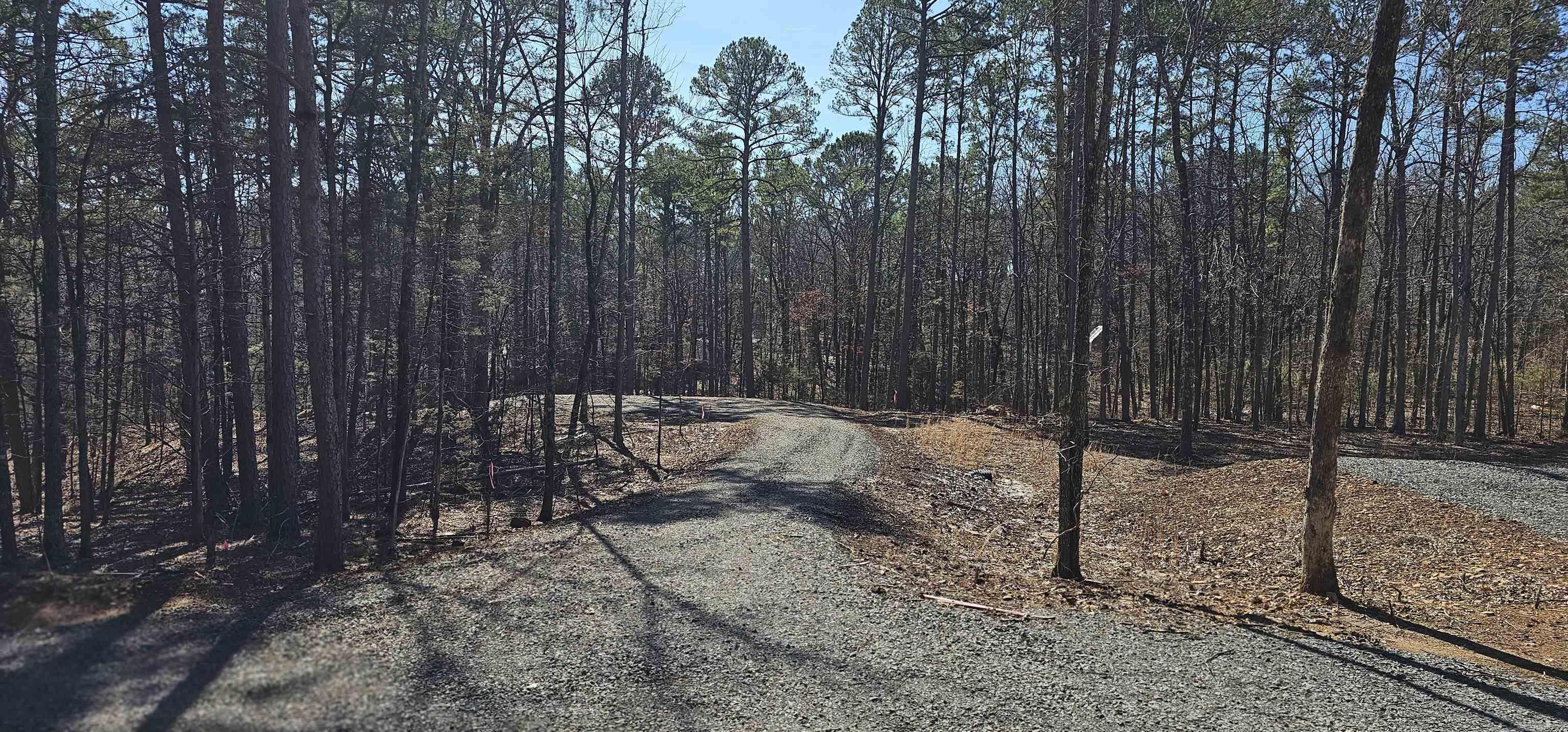 Tract #3  Robinhood Trail  Fairfield Bay, AR