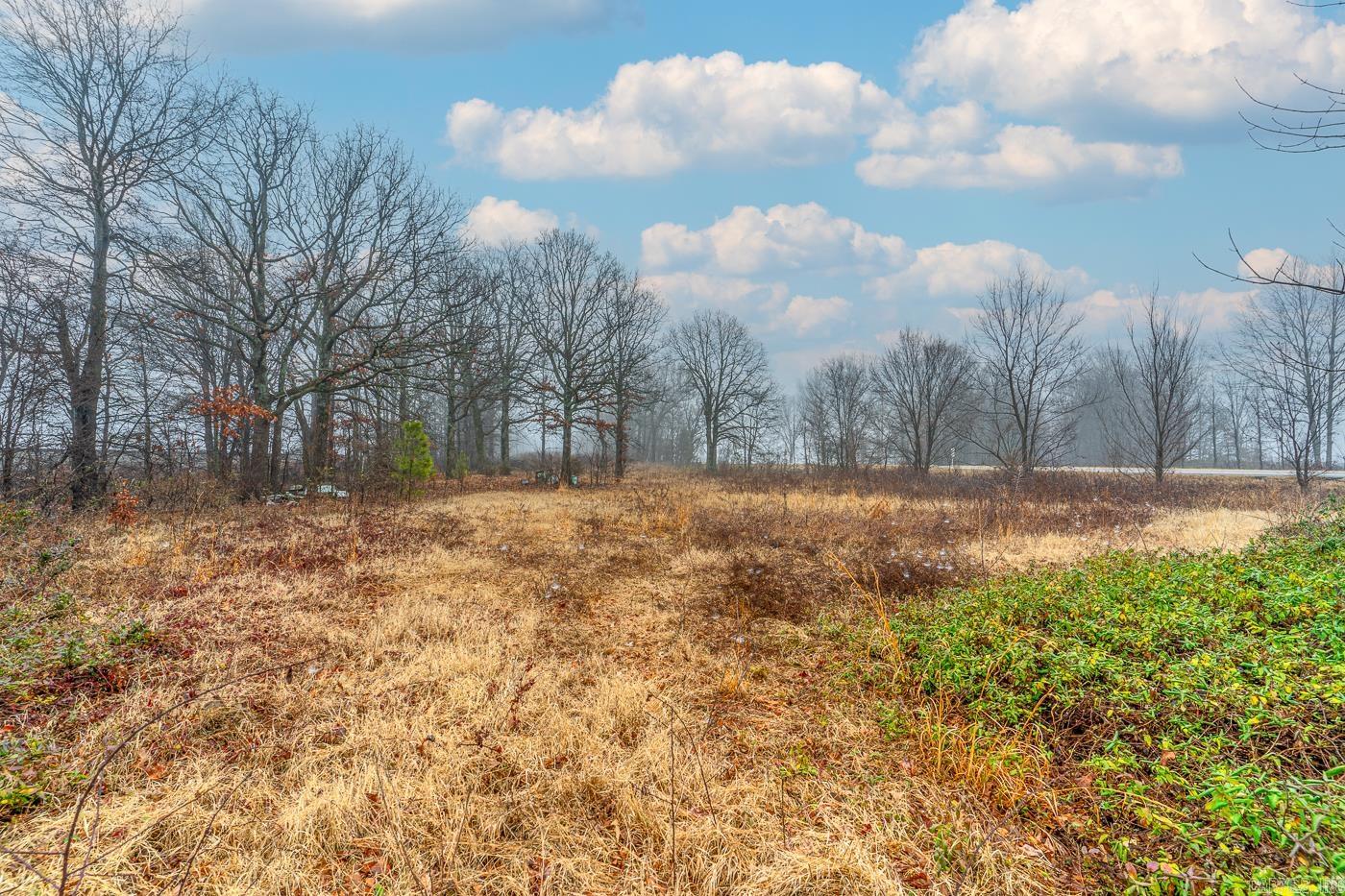 7780 Highway 90  Delaplaine, AR
