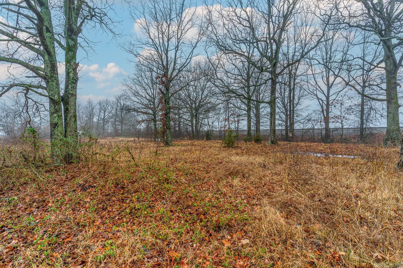 7780 Highway 90  Delaplaine, AR