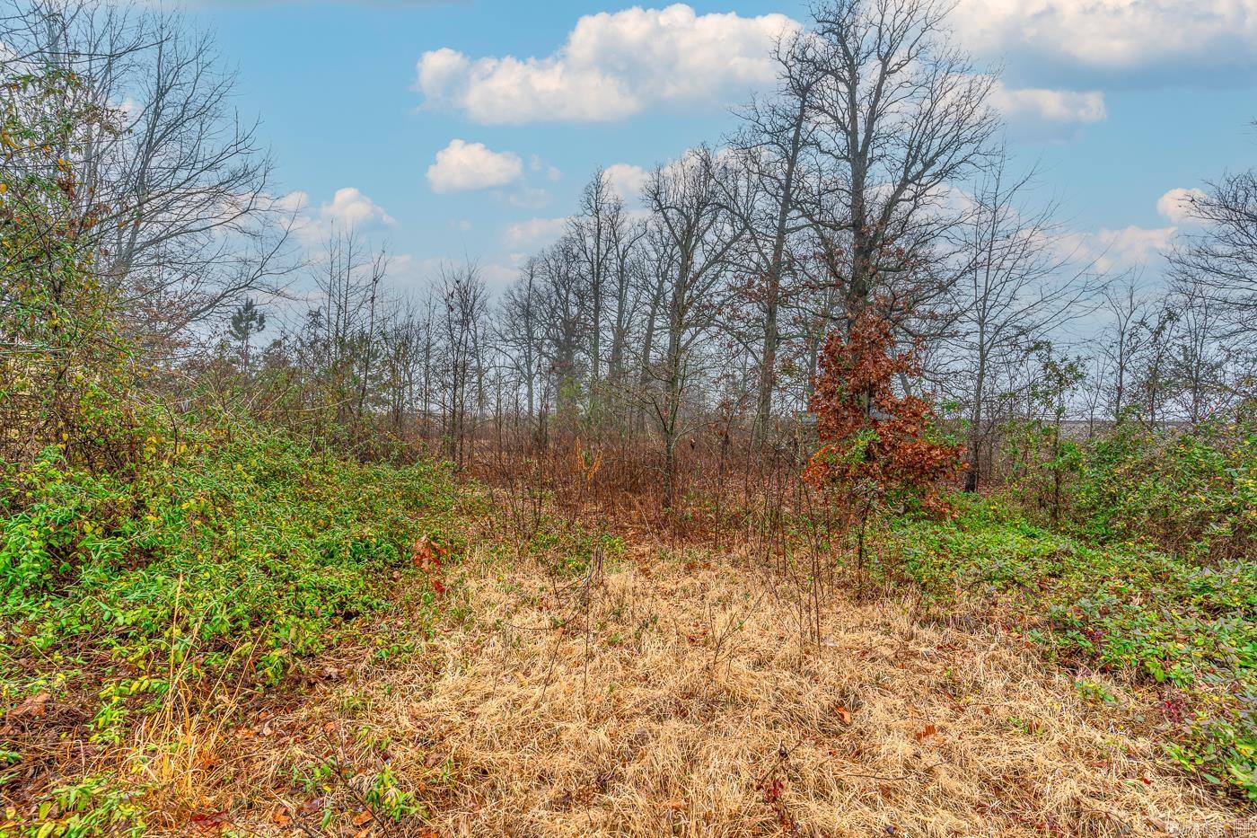 7780 Highway 90  Delaplaine, AR