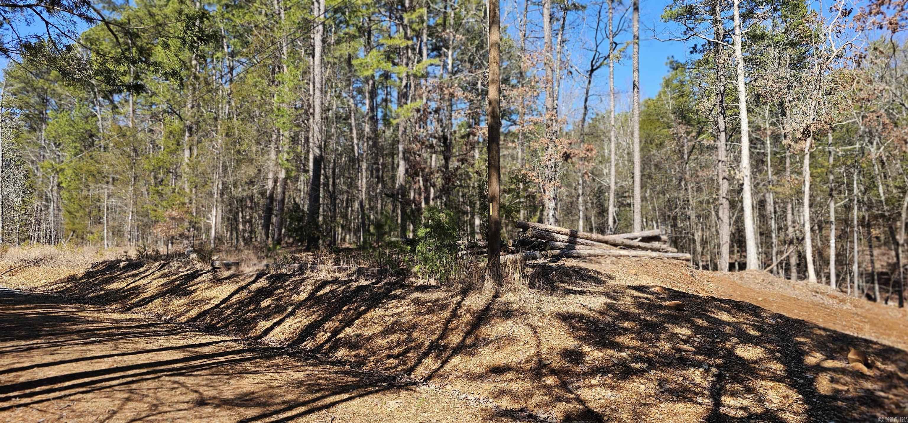 00  Robinhood Trail  Fairfield Bay, AR